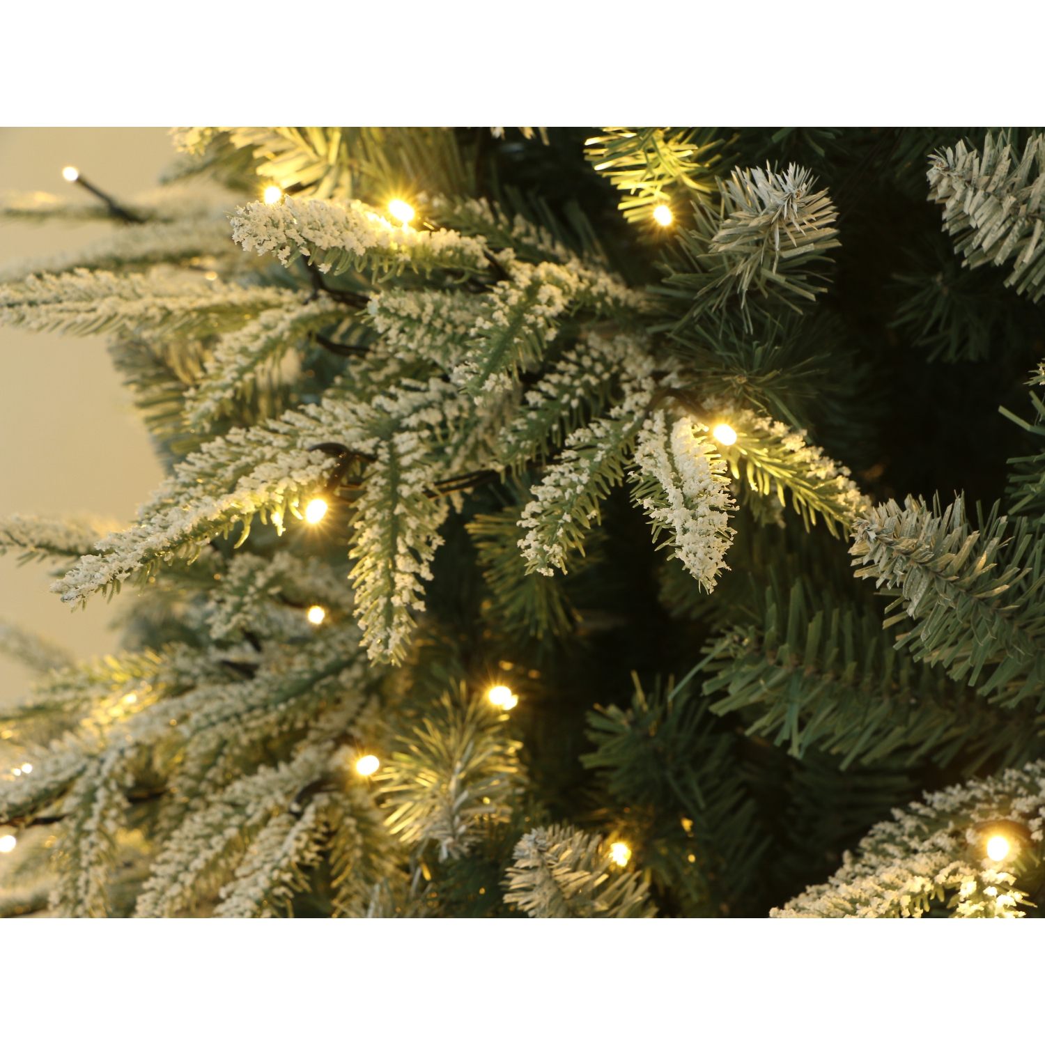 Holiday Stuff 8' Colorado Frosted Blue Pine Christmas Tree Pre-lit with LED Lights