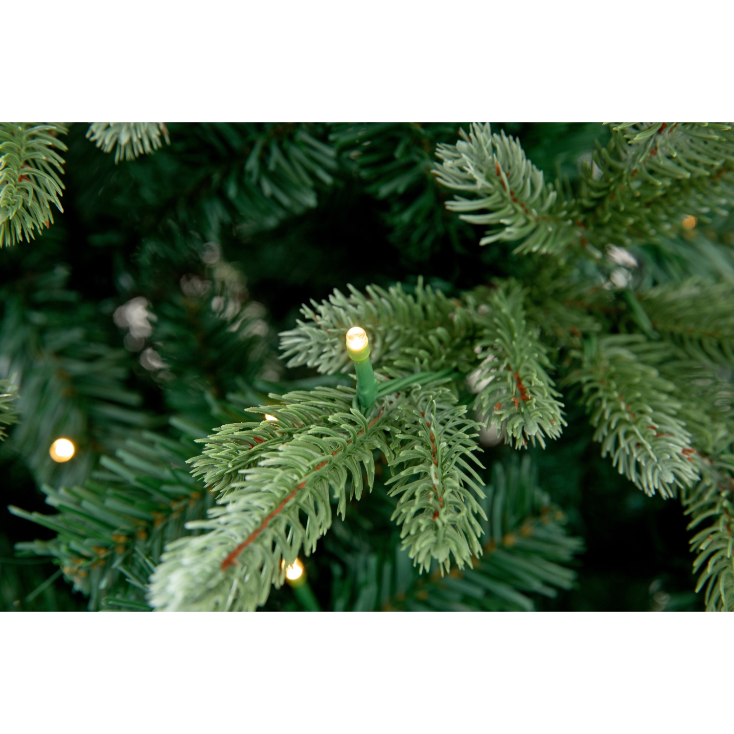 Holiday Stuff 7' Slim Black Hills Spruce Artificial Christmas Tree prelit with LED Lights