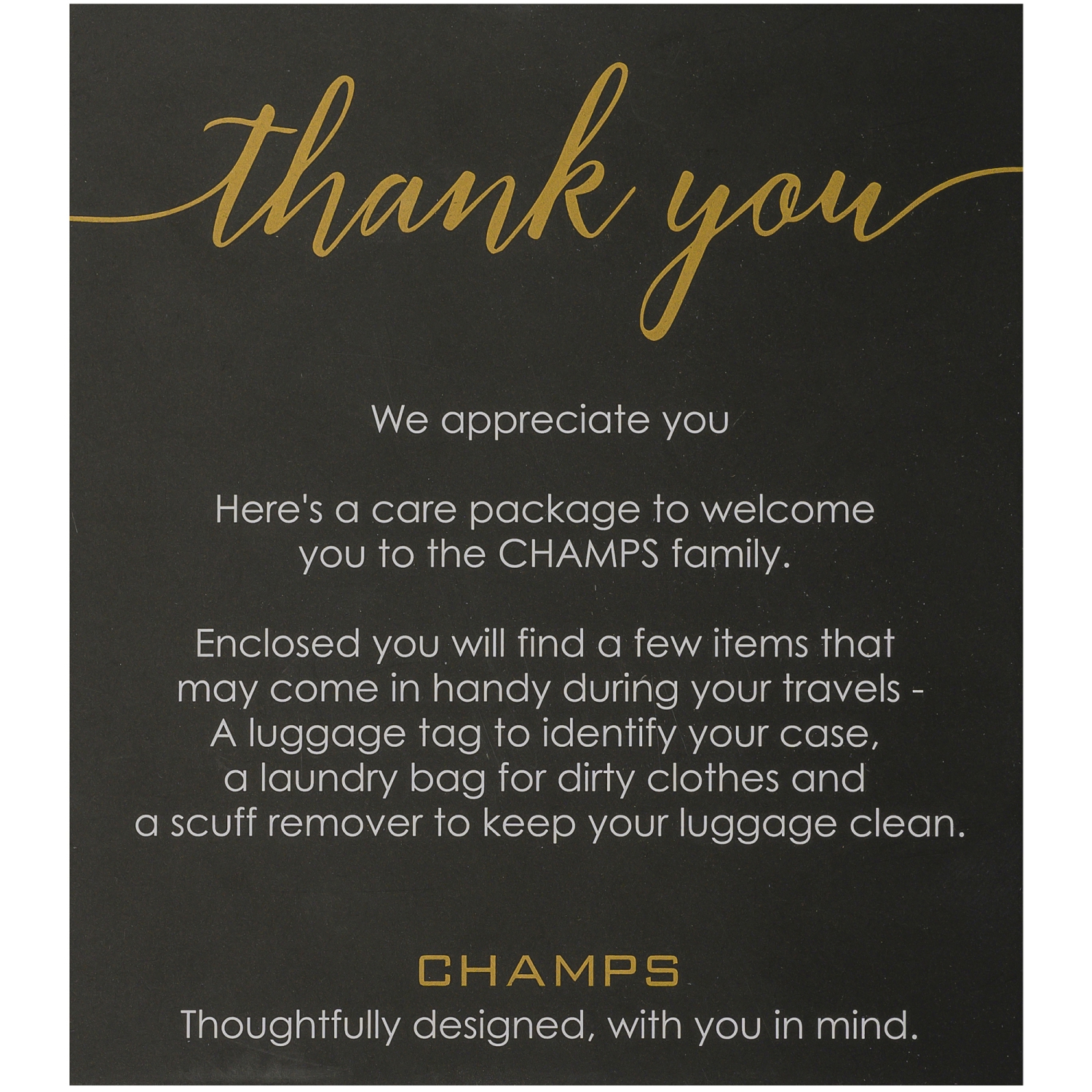 CHAMPS Luggage Care package