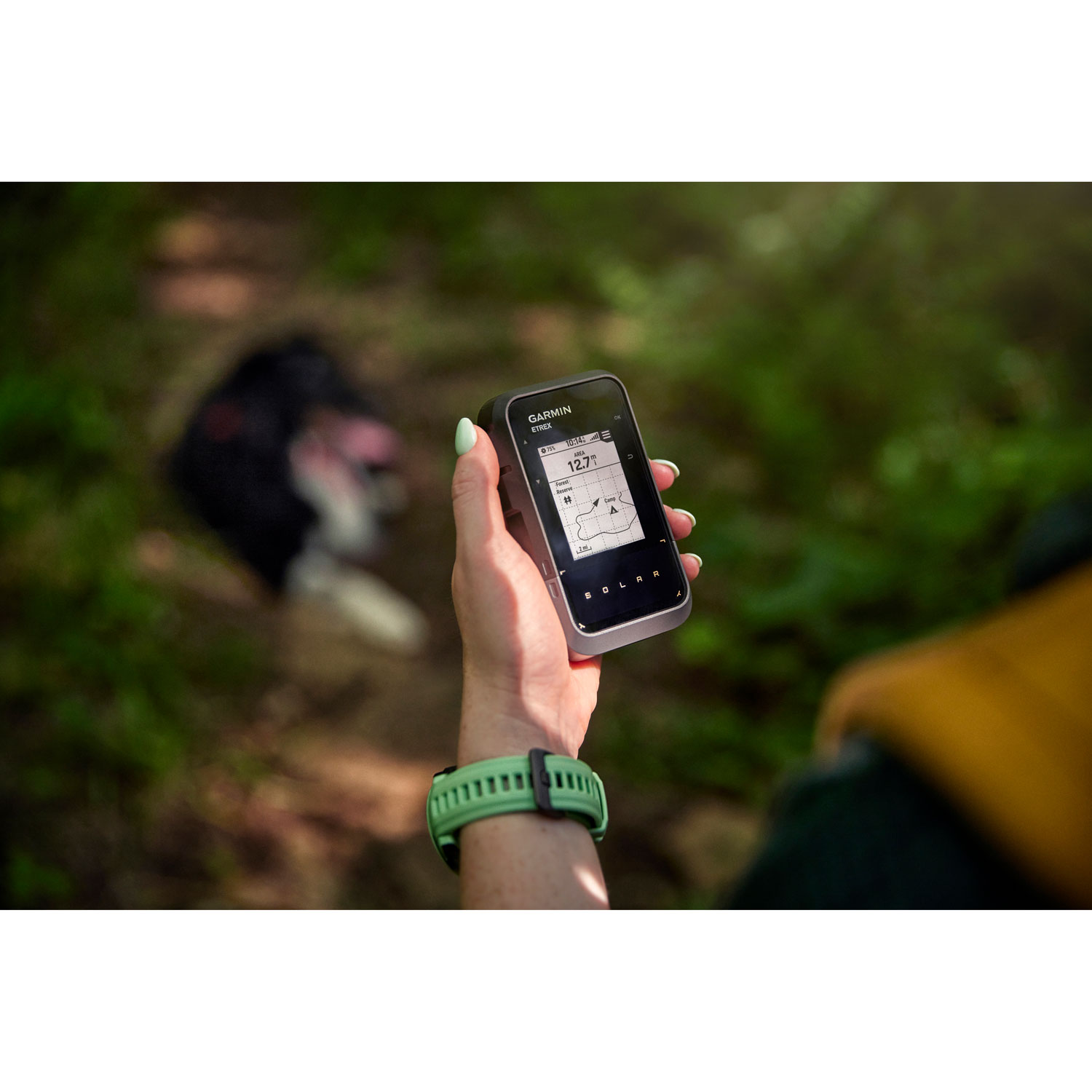 Garmin 2.2" eTrex Solar Handheld GPS