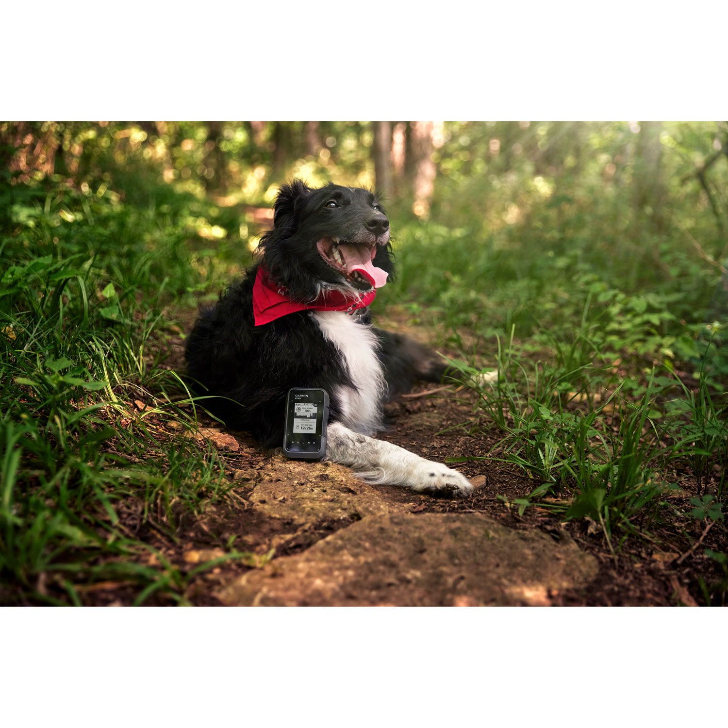 Garmin 2.2" eTrex Solar Handheld GPS