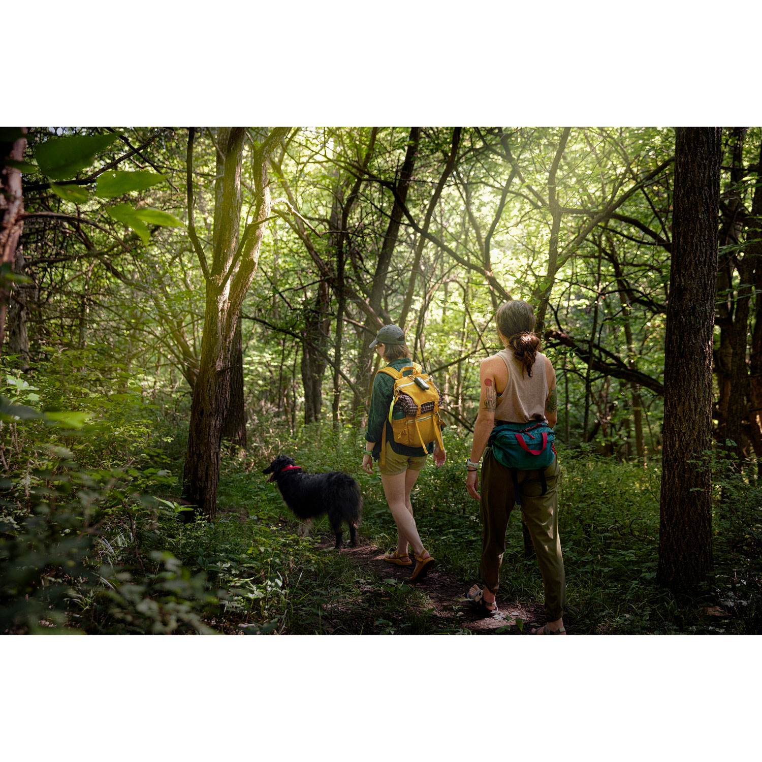 Garmin 2.2" eTrex Solar Handheld GPS