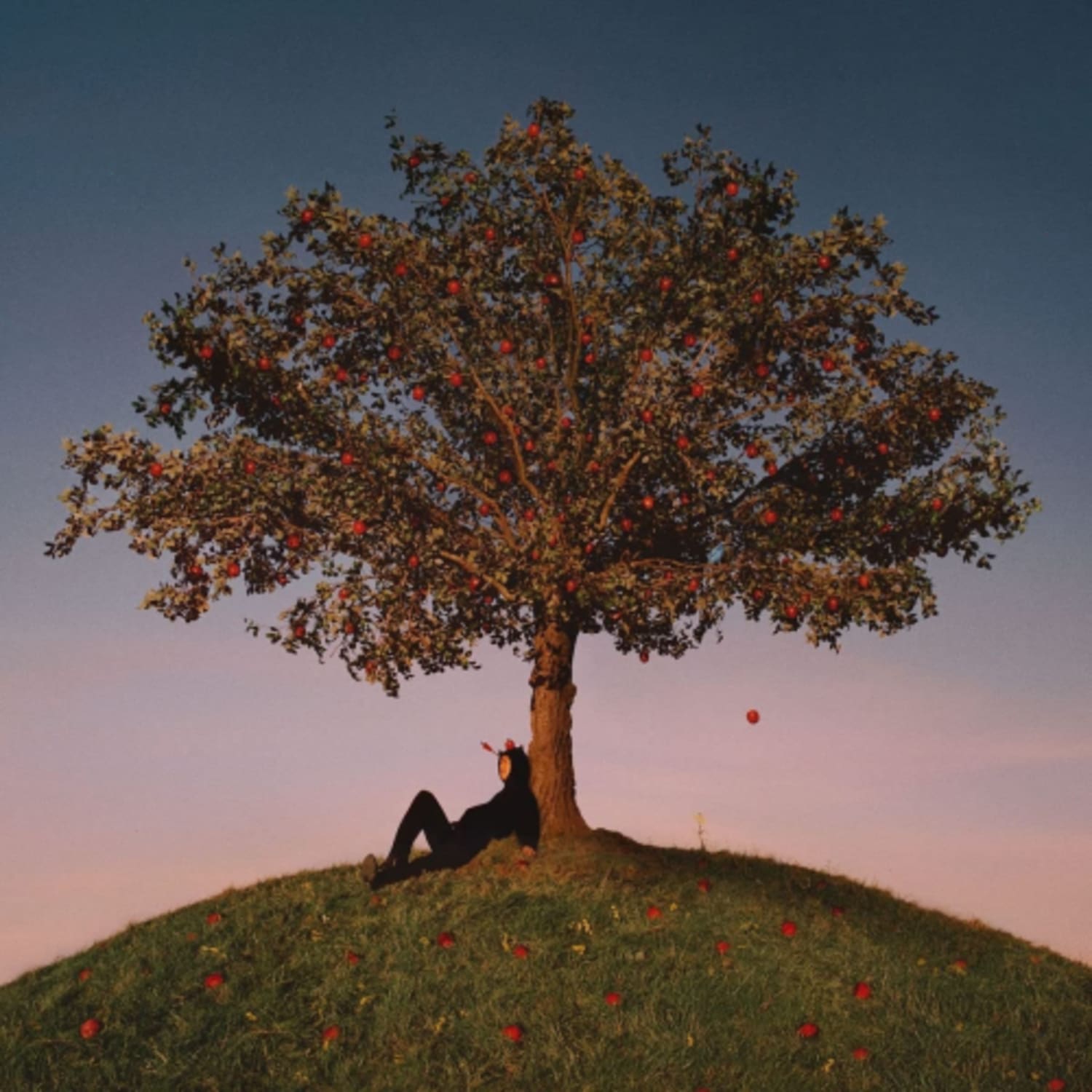 Slowthai - Tyron [Import] - - [Vinyl]