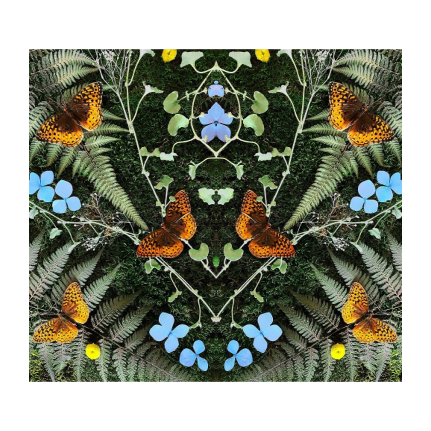 Jean-Michel Blais - Aubades [Import] - - [CD]