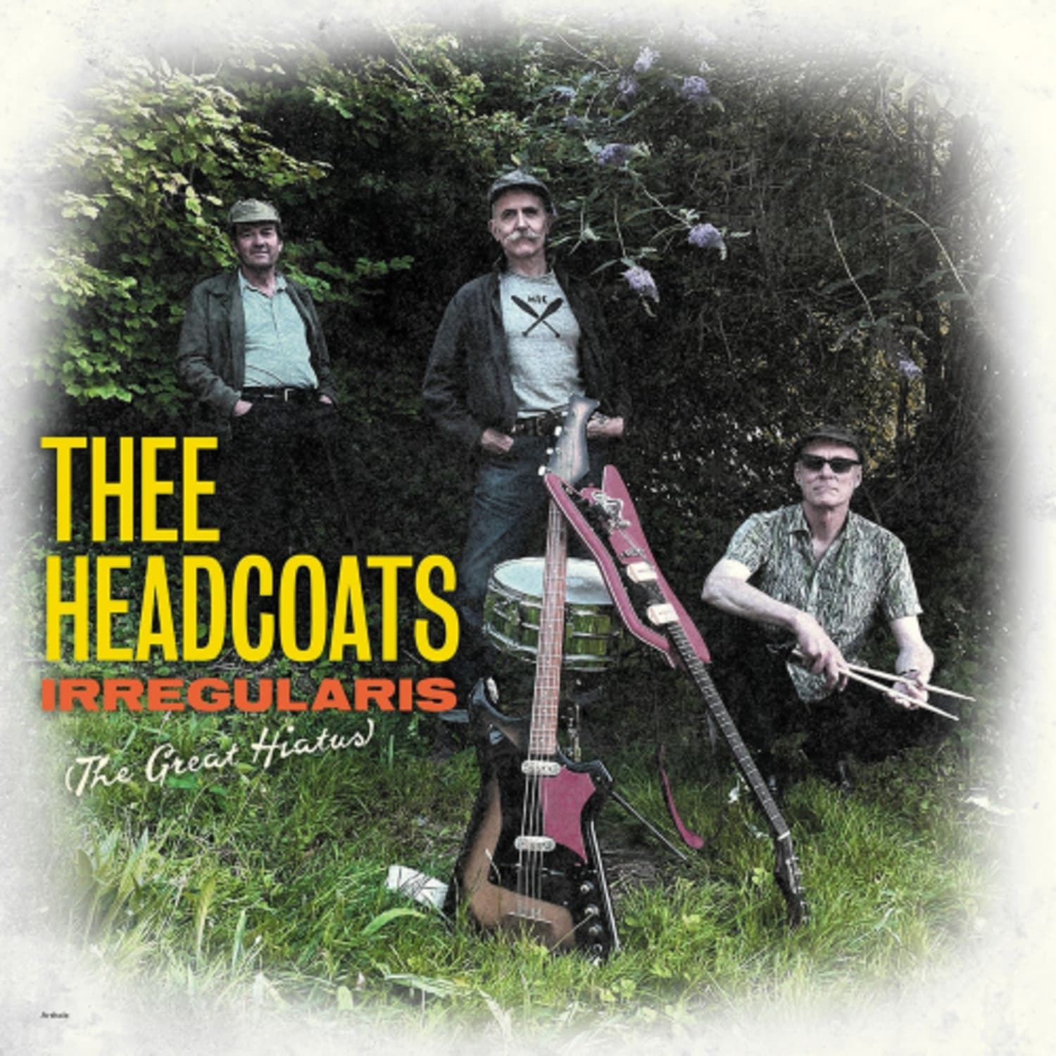 Thee Headcoats - Irregularis: The Great Hiatus - [Vinyl]