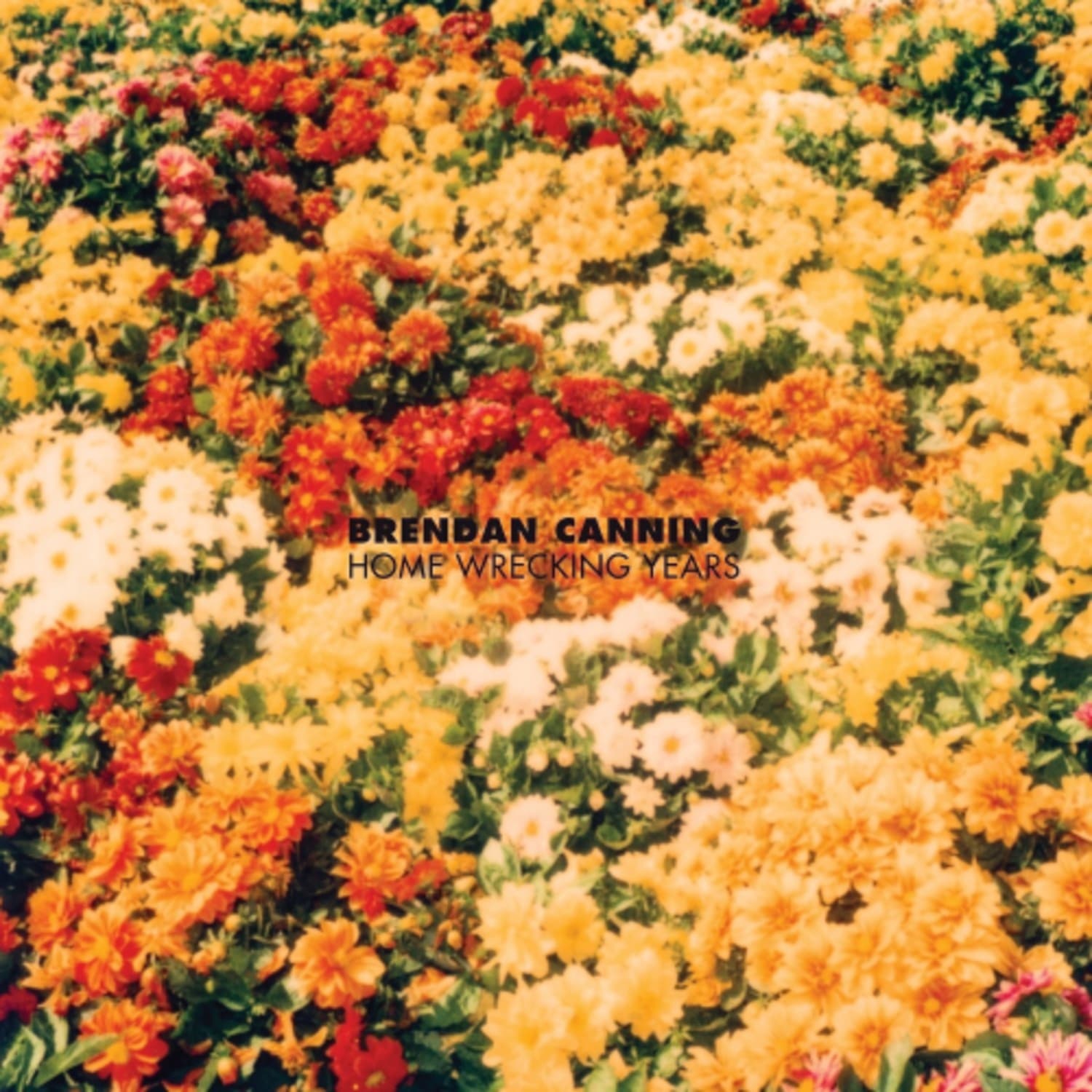 Brendan Canning - Home Wrecking Years - [Vinyl]