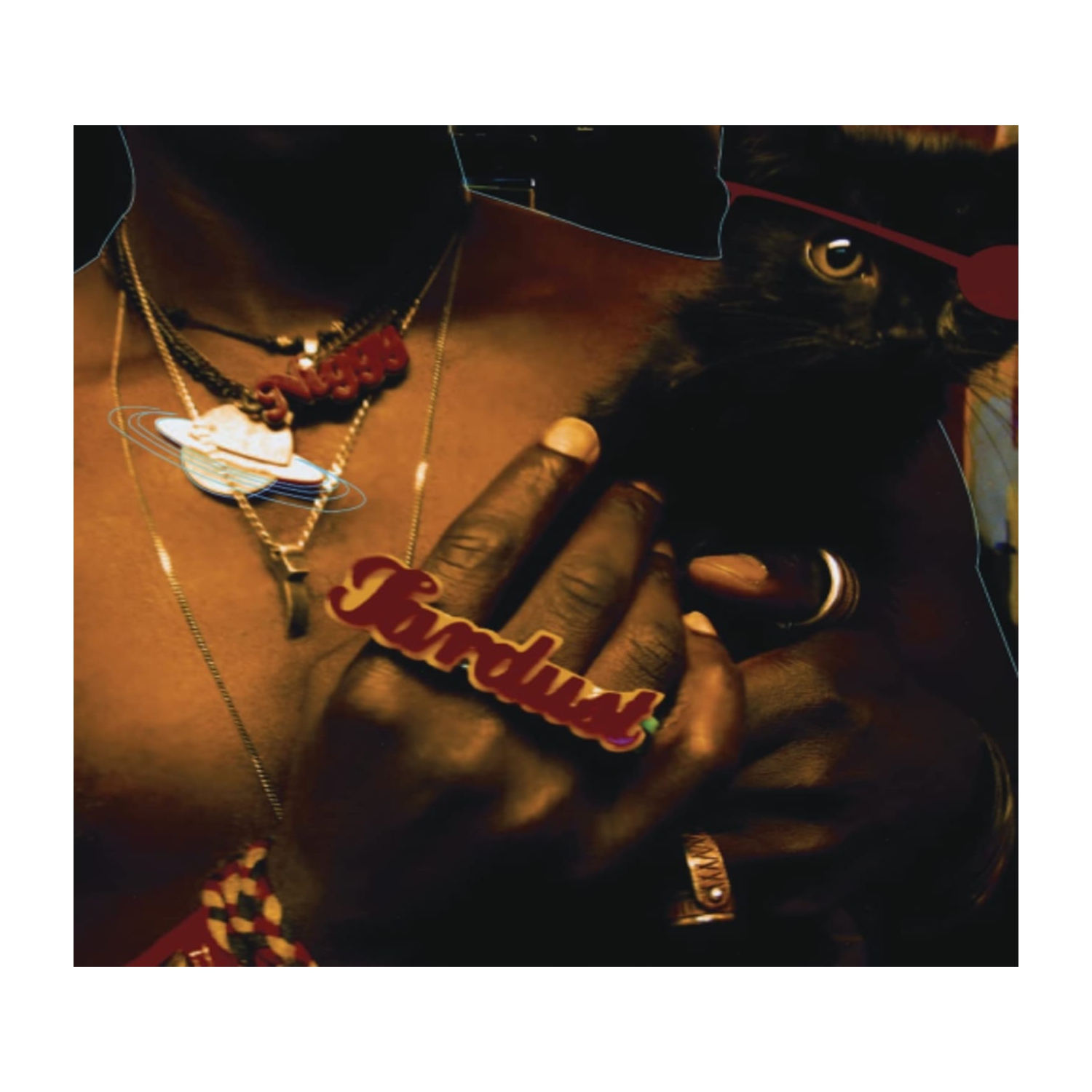 Saul Williams - Inevitable Rise and Liberation Of Niggy Tardust! - [CD]