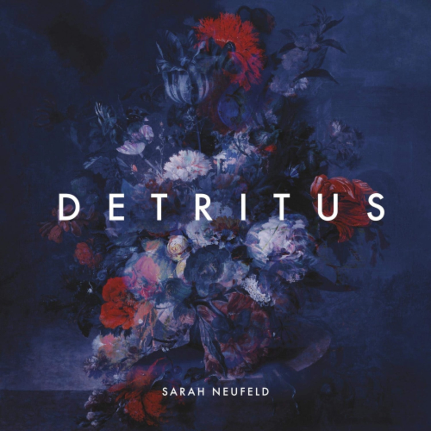 Sarah Neufeld - Detritus - [Vinyl]