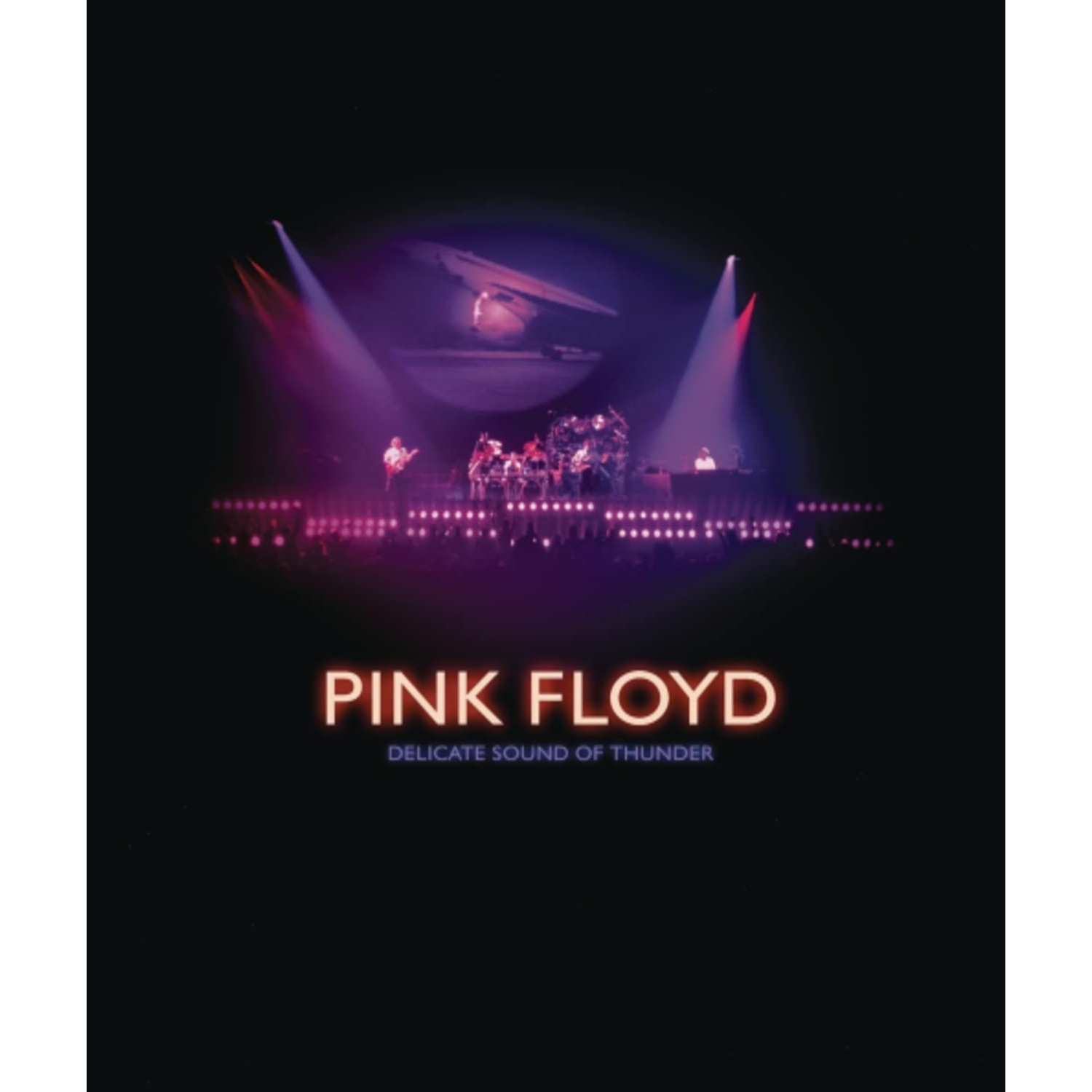 Pink Floyd: Delicate Sound of Thunder - - [Blu-ray]