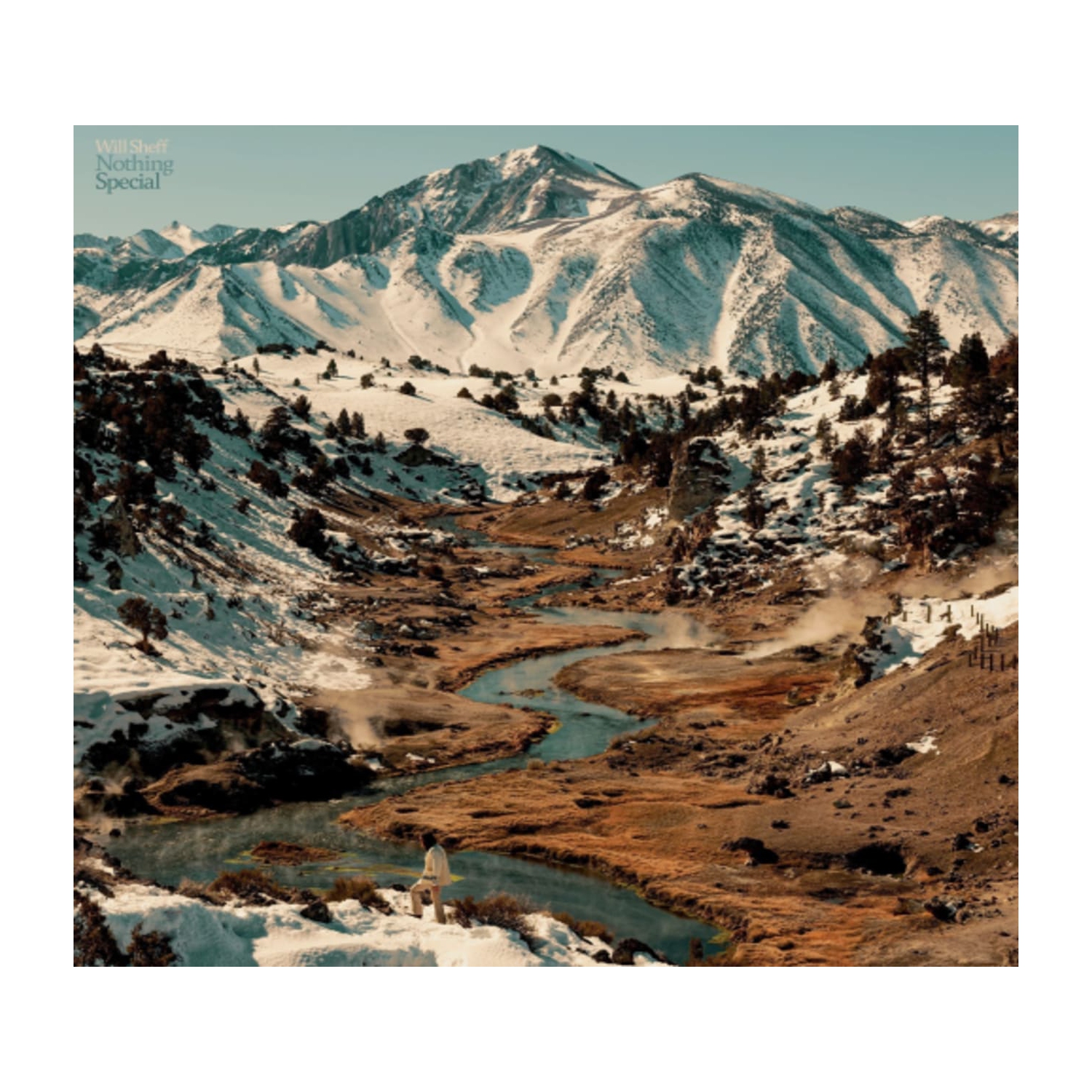 Will Sheff - Nothing Special - - [CD]