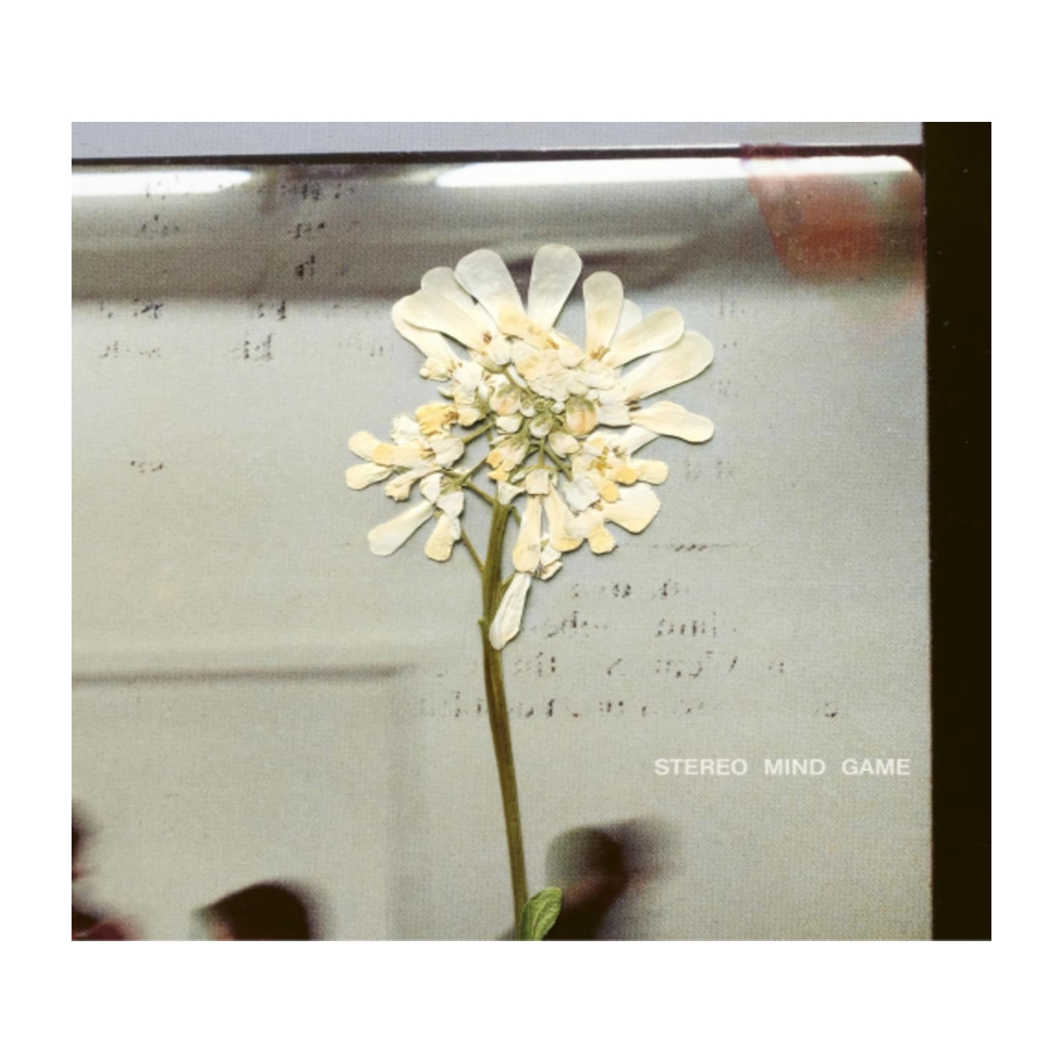 Daughter - Stereo Mind Game - [CD]