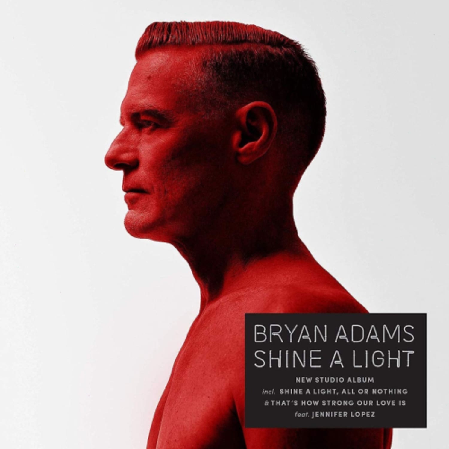 Bryan Adams - Shine A Light [Import] - - [Vinyl]