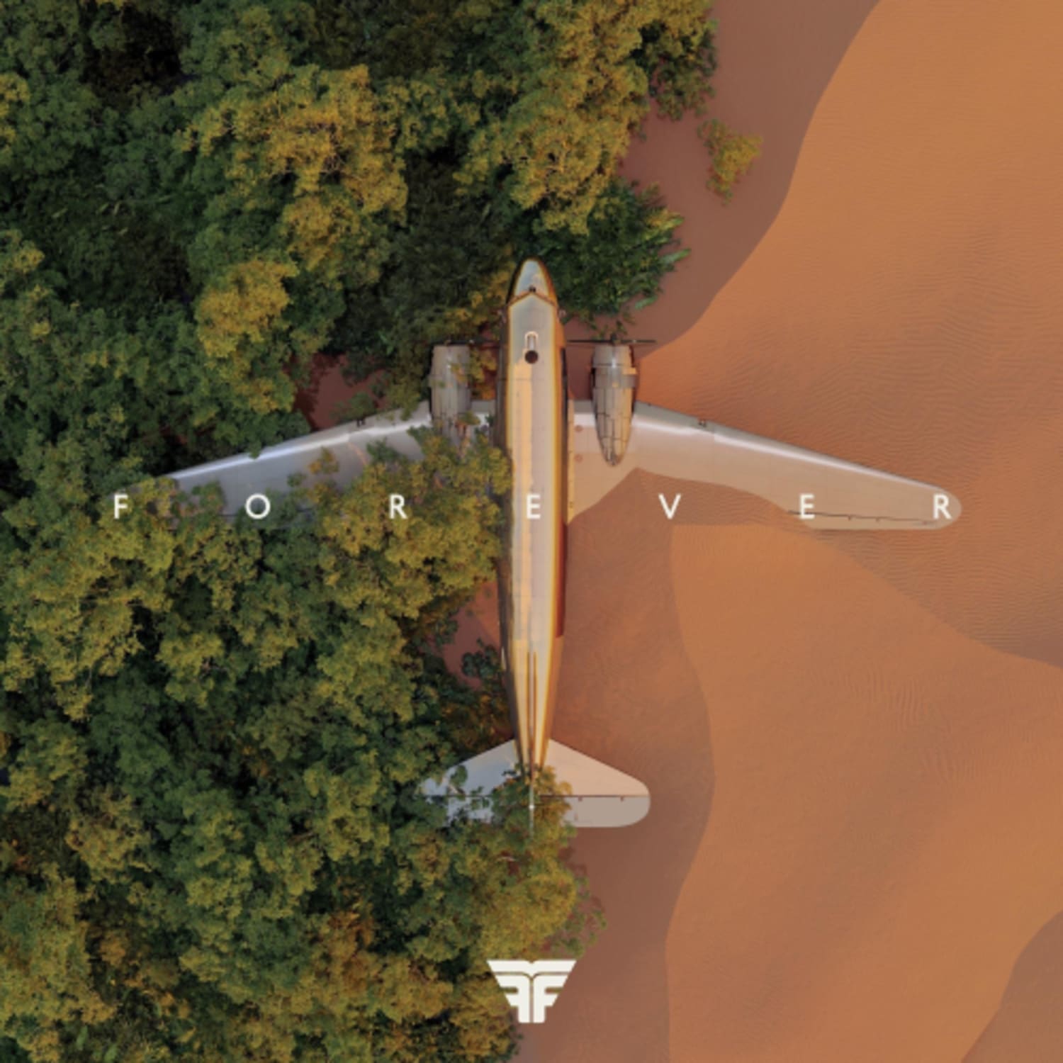 Flight Facilities - Forever - [Vinyl]