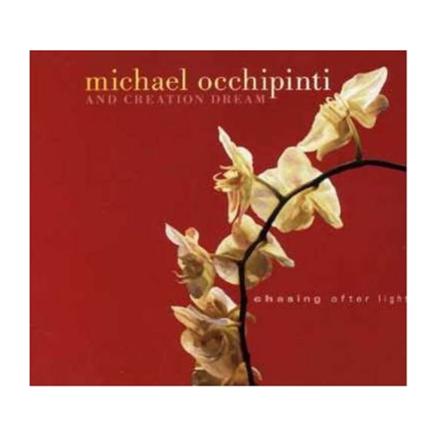 Michael Occhipinti - CHASING AFTER LIGHT - [CD]