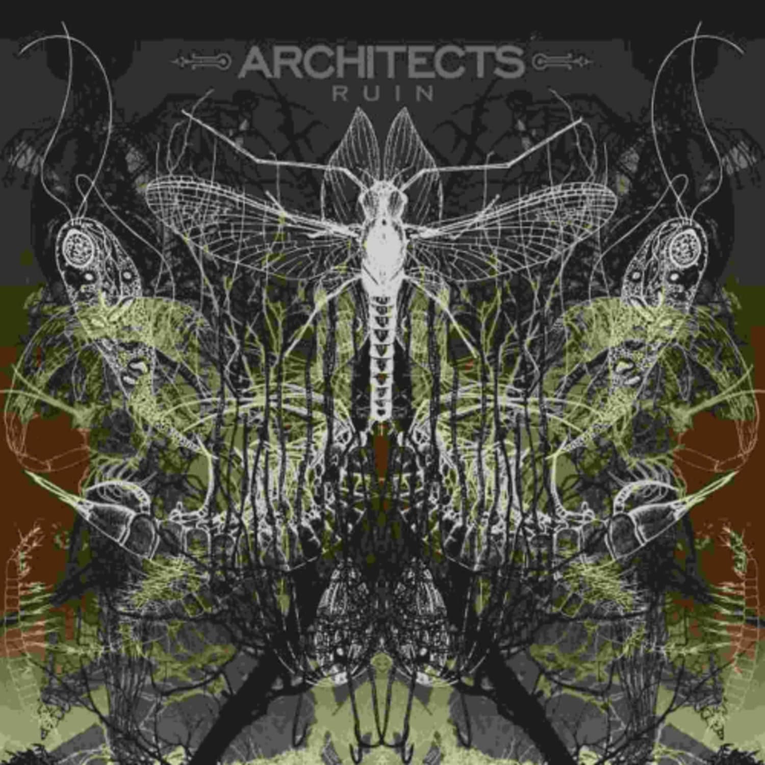 Architects - Ruin [Import] - - [Vinyl]