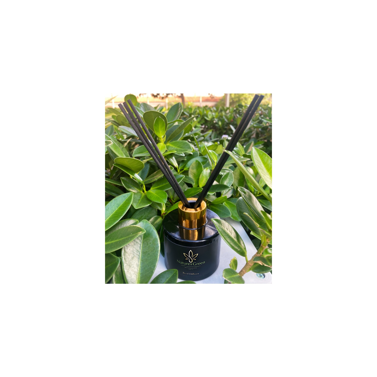 V For Vibes Hemp Aromatherapy Reed Diffuser - Nature's Green