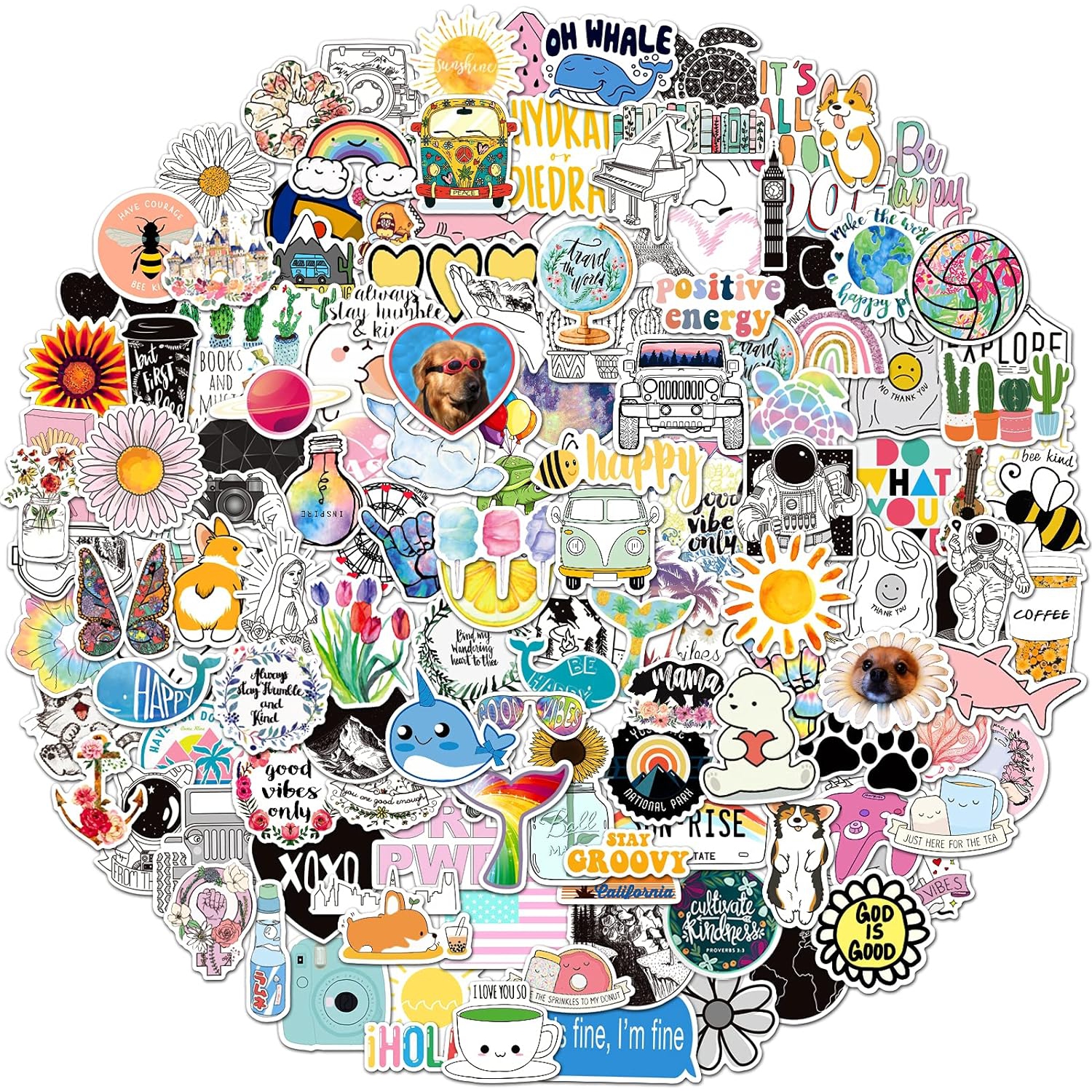 200Pcs Cute Stickers Pack for Teens and Adults,Vinyl Decals for Water Bottles Hydroflask Book MacBook Laptop Phone Case