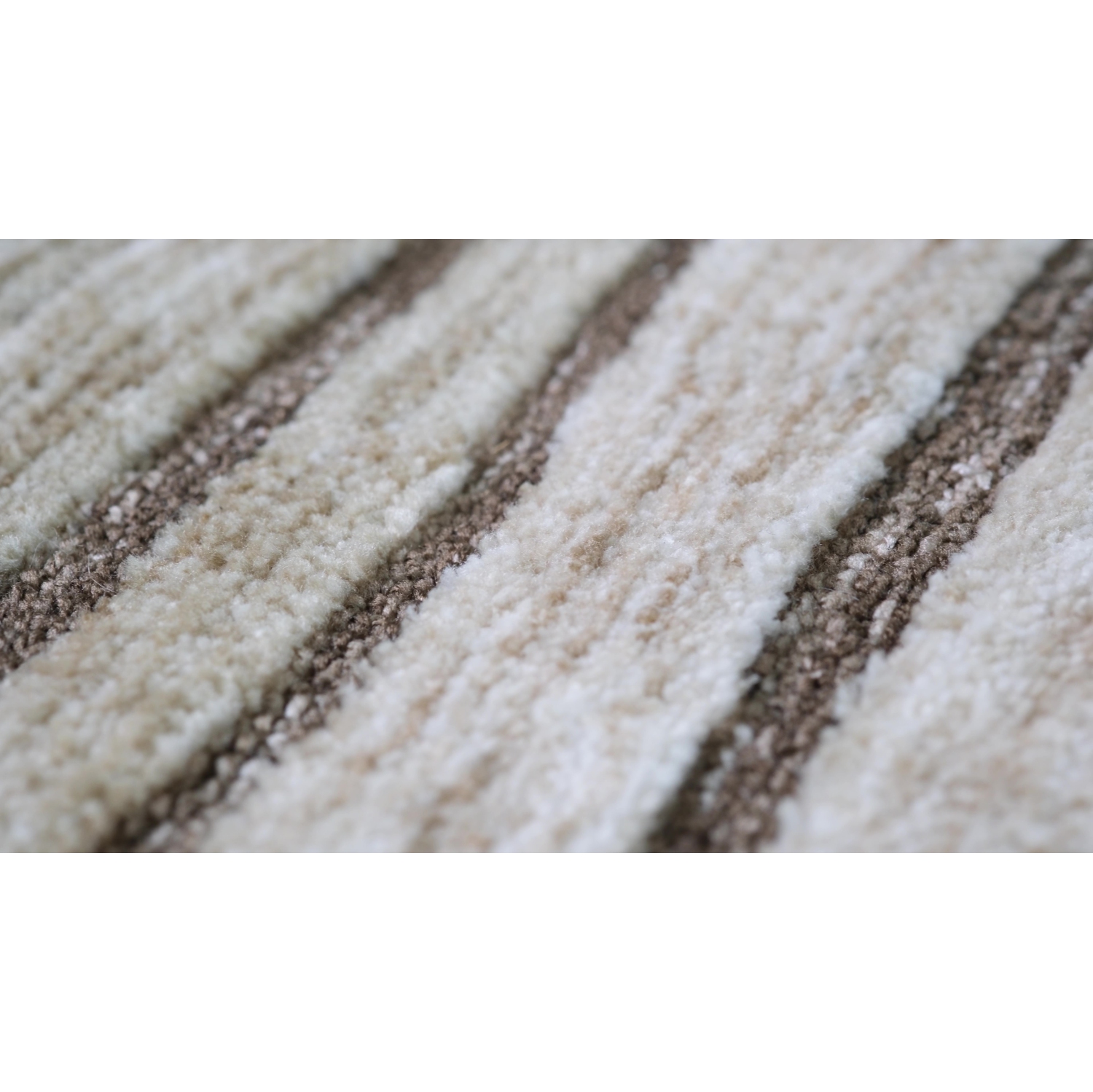 Rug Branch Karsoni Comtemporary Linear Abstract Indoor Area Rug