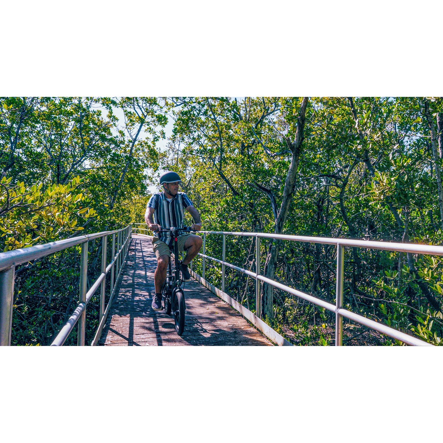 Vélo électrique repliable compact de 350 W EB350F de Blutron - Noir - Partenaire de détail exclusif