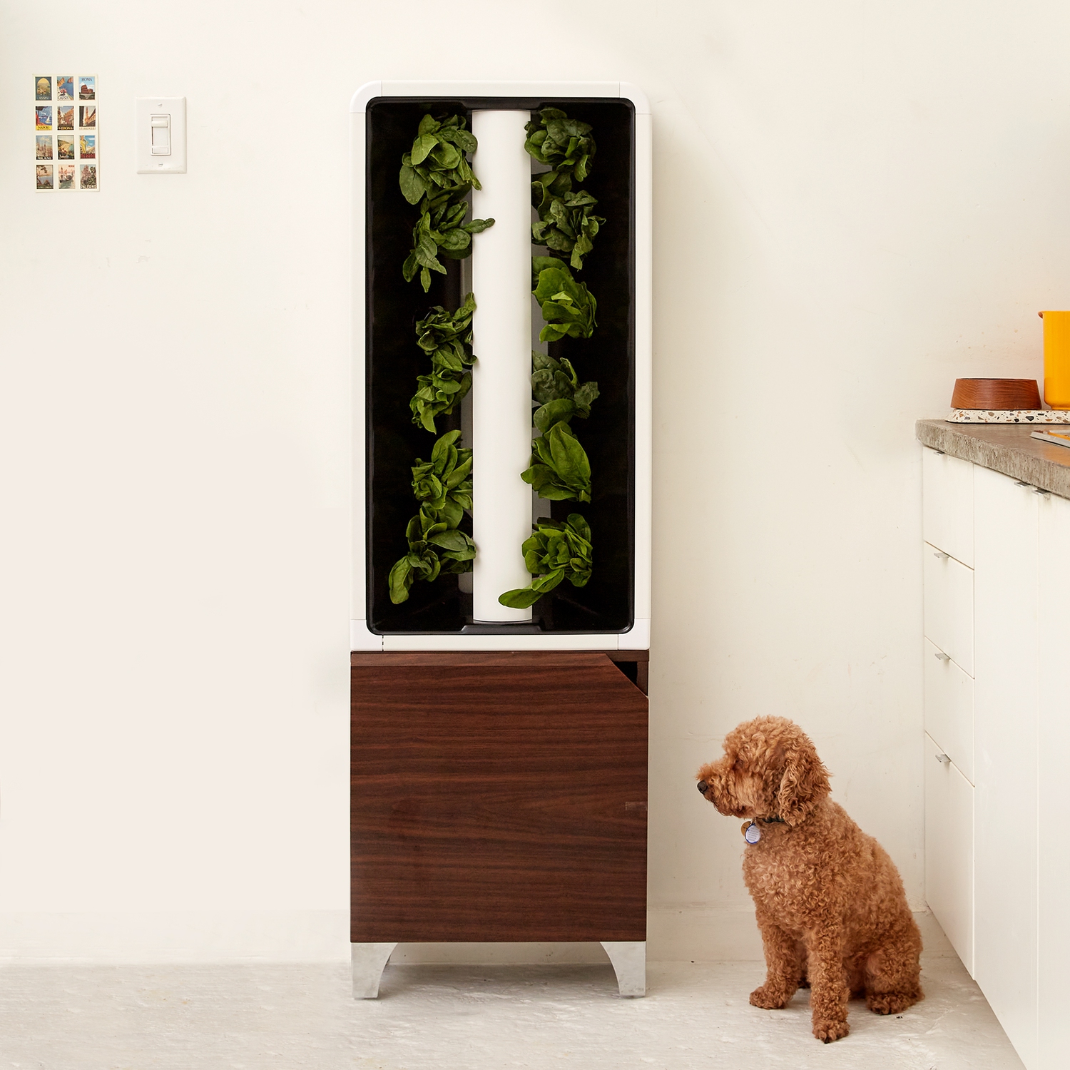 Just Vertical - The Automated EVE Indoor Smart Garden