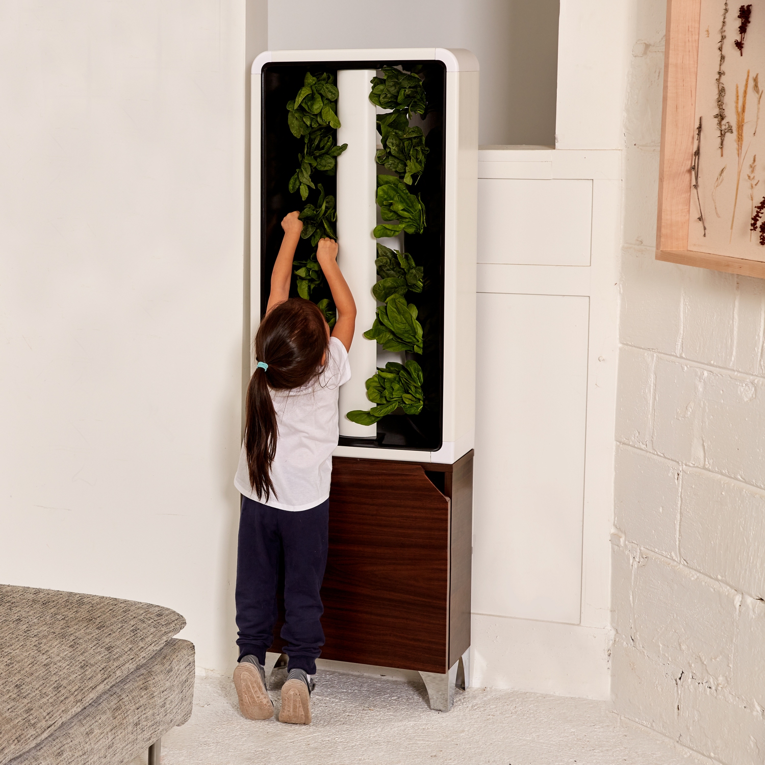 Just Vertical - The Automated EVE Indoor Smart Garden