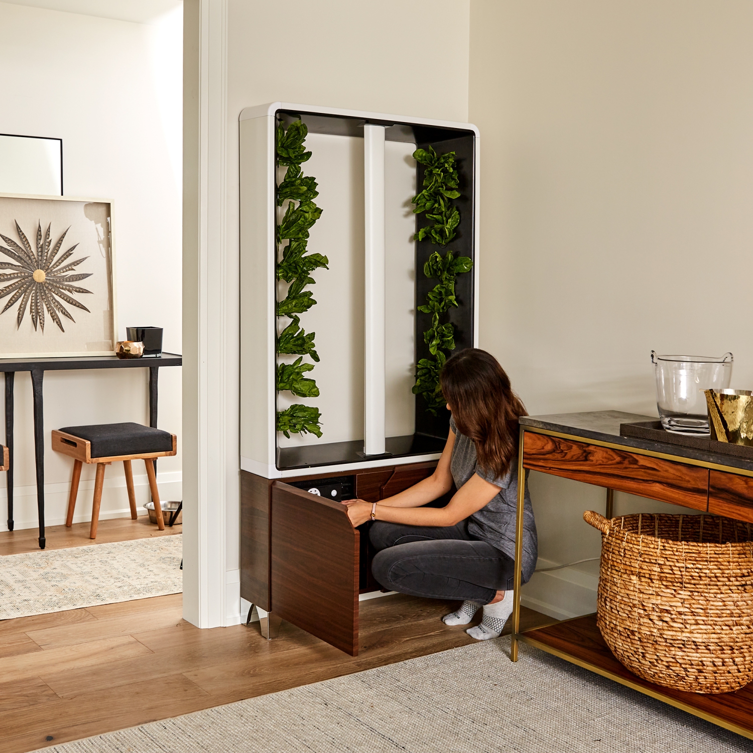 Just Vertical - The Automated AEVA Indoor Smart Garden