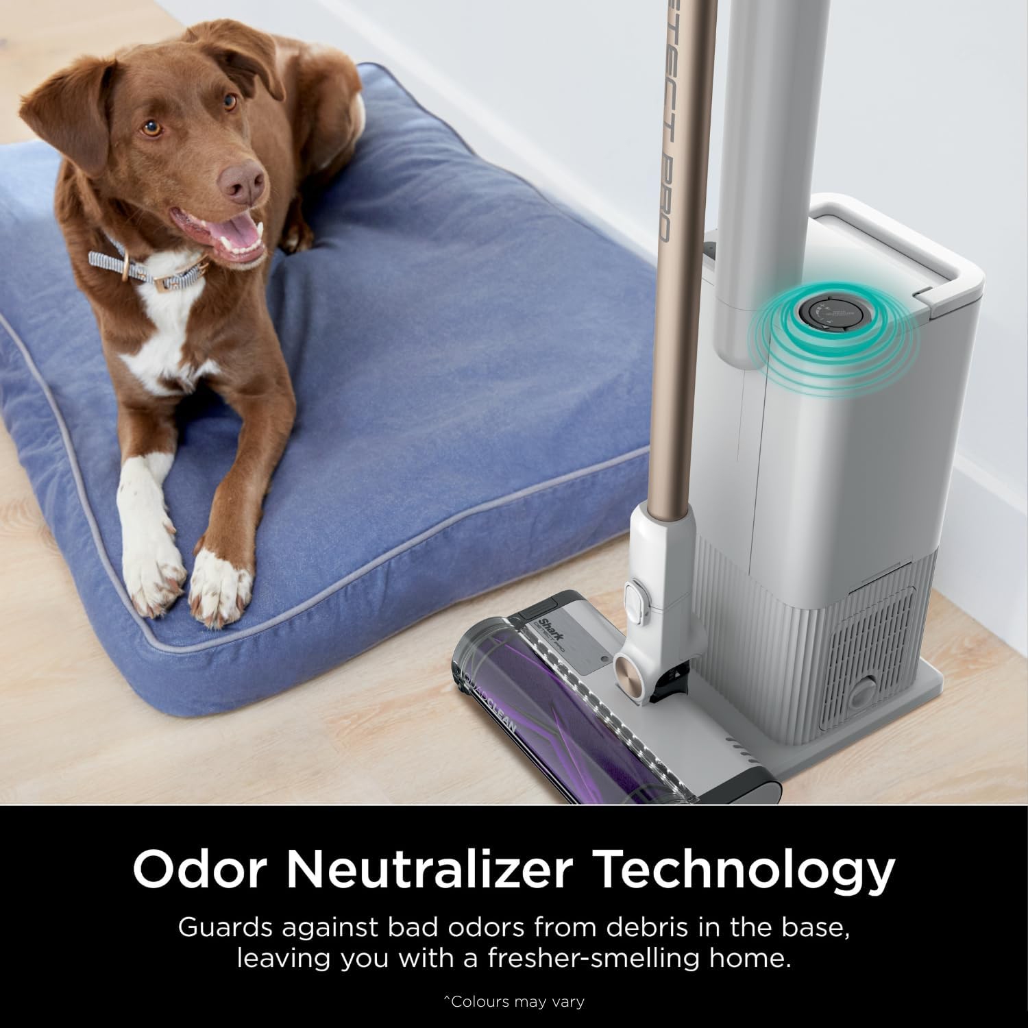 Shark – système de détection sans fil Pro 1,3&nbsp;L à vidage automatique avec filtre HEPA, jusqu’à 40 minutes de fonctionnement, suceur plat de 8