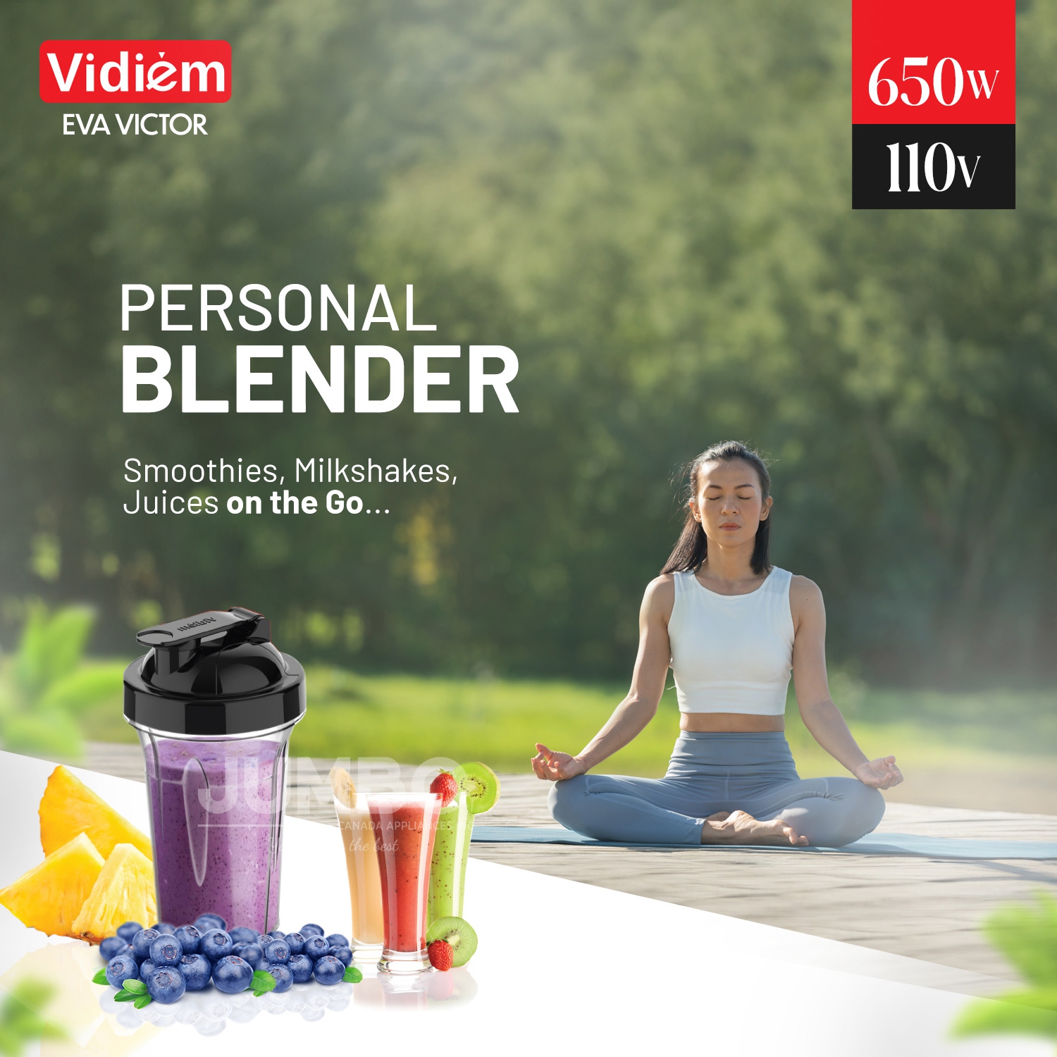 Vidiem Eva VICTOR PRO 650W / 110V - Indian Mixer Grinder SS Jars & 250ml Spice & Personal Coffee Herbs Grinder with 500ml Personal Juices, Shakes &