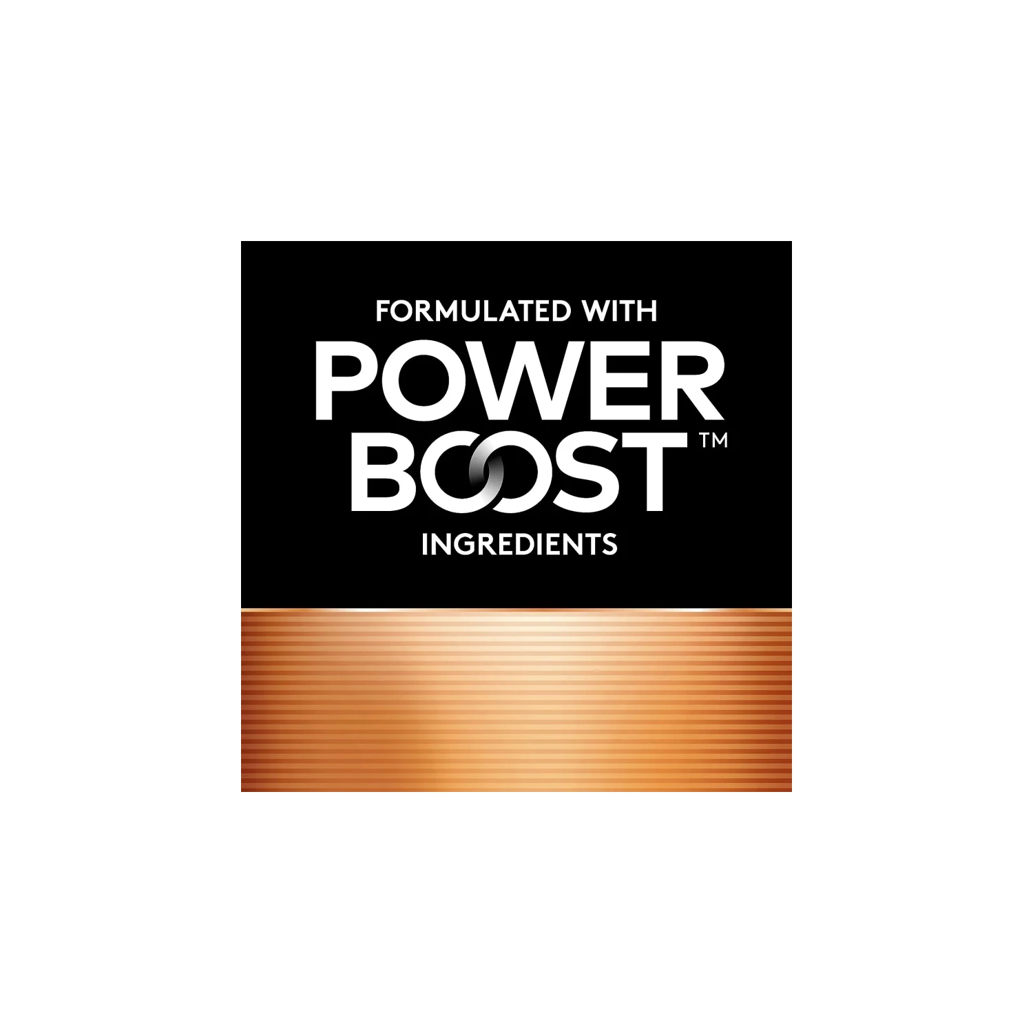 Duracell CopperTop AA Alkaline Batteries | Long-Lasting, All-Purpose Battery for Home & Business