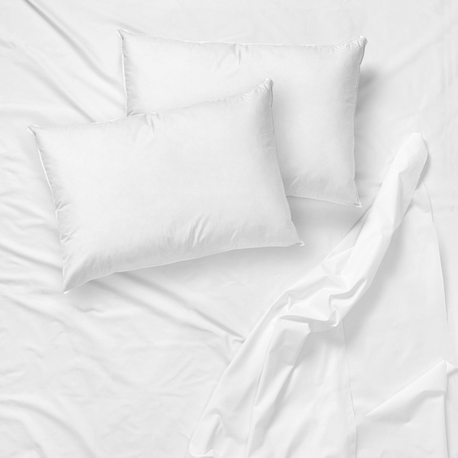 Cotton House - Wrinkle-Free Microfiber Sheet Set, Queen Size, White
