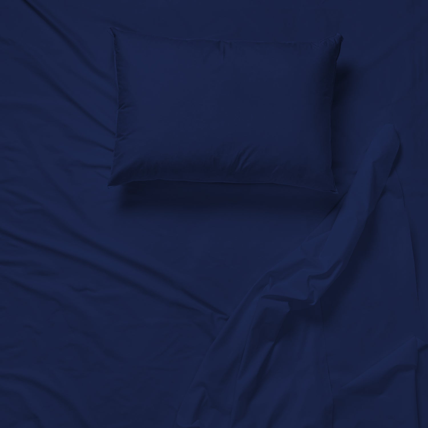 Cotton House - Wrinkle-Free Microfiber Sheet Set, Twin Size, Dark Blue