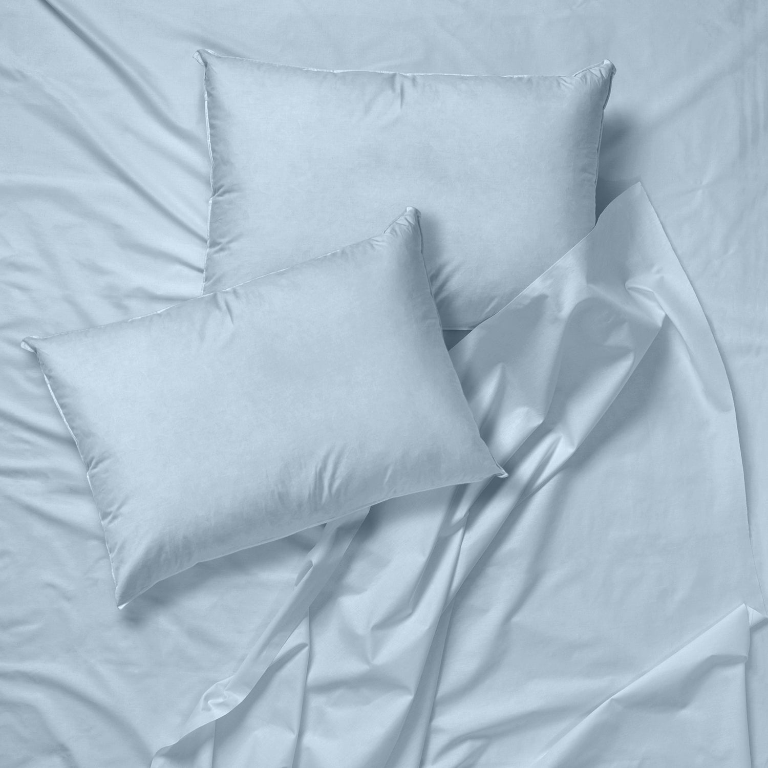 Cotton House - 100% Egyptian Cotton Sheet Set, 600 Thread Count, Queen Size, Blue