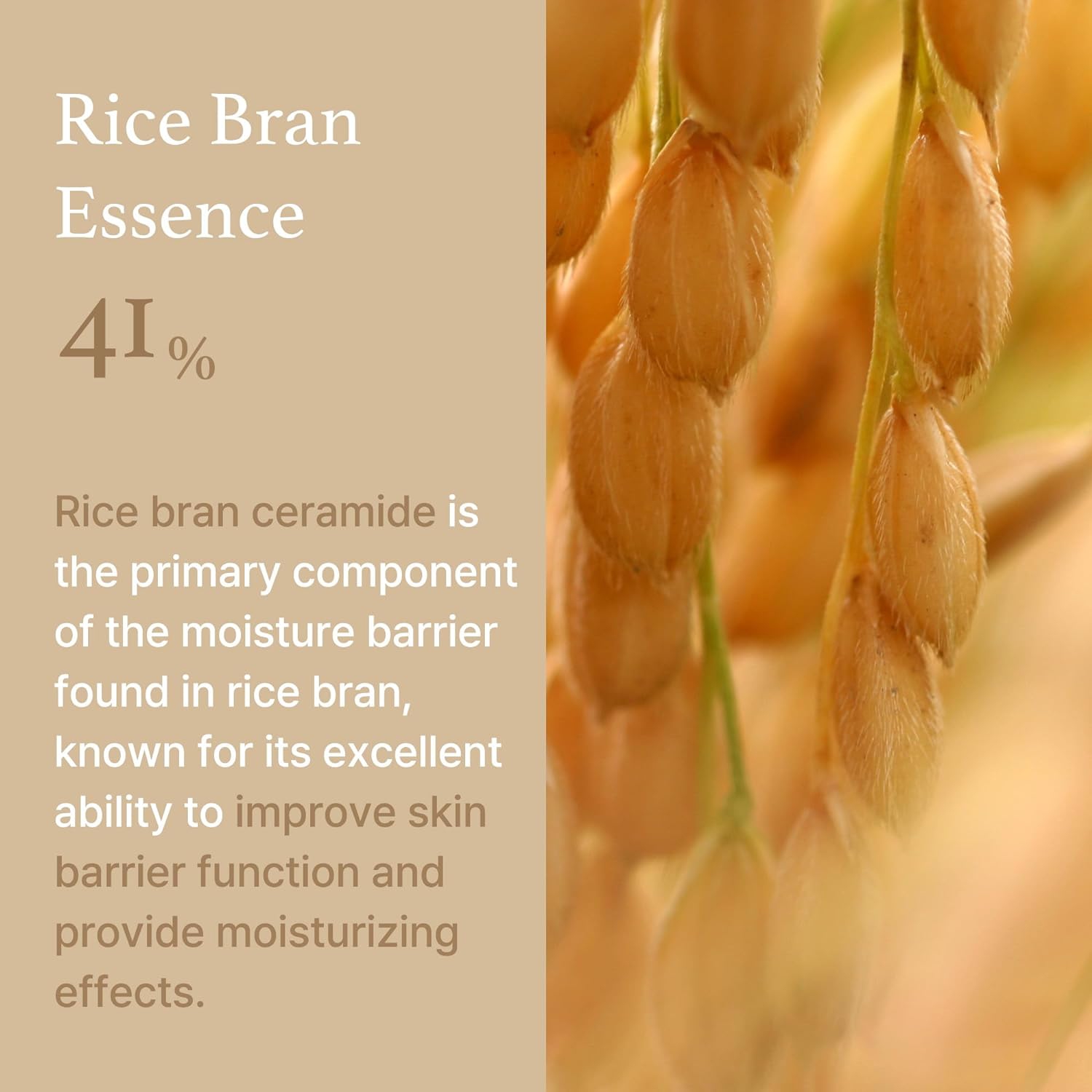 [I'm From] Rice Cream 1.69 Ounce, 41% rice bran essence with ceramide