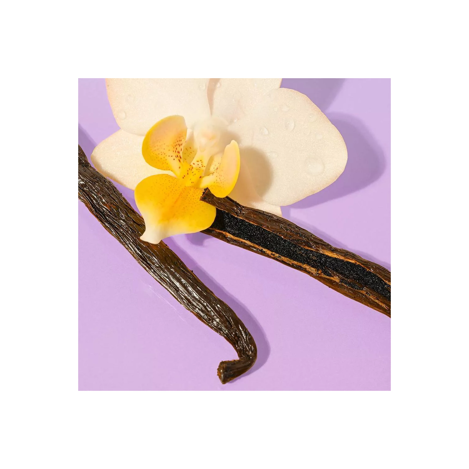 eos Shea Better Moisture Body Lotion - Vanilla Cashmere - 16 fl oz