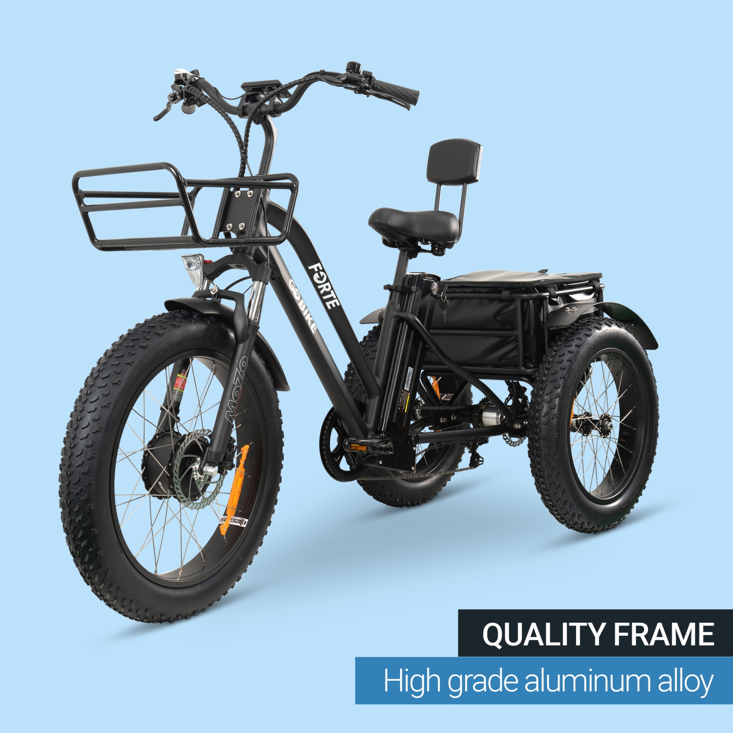 FORTE-MAX EBike | 750W Electric Tricycle - Black