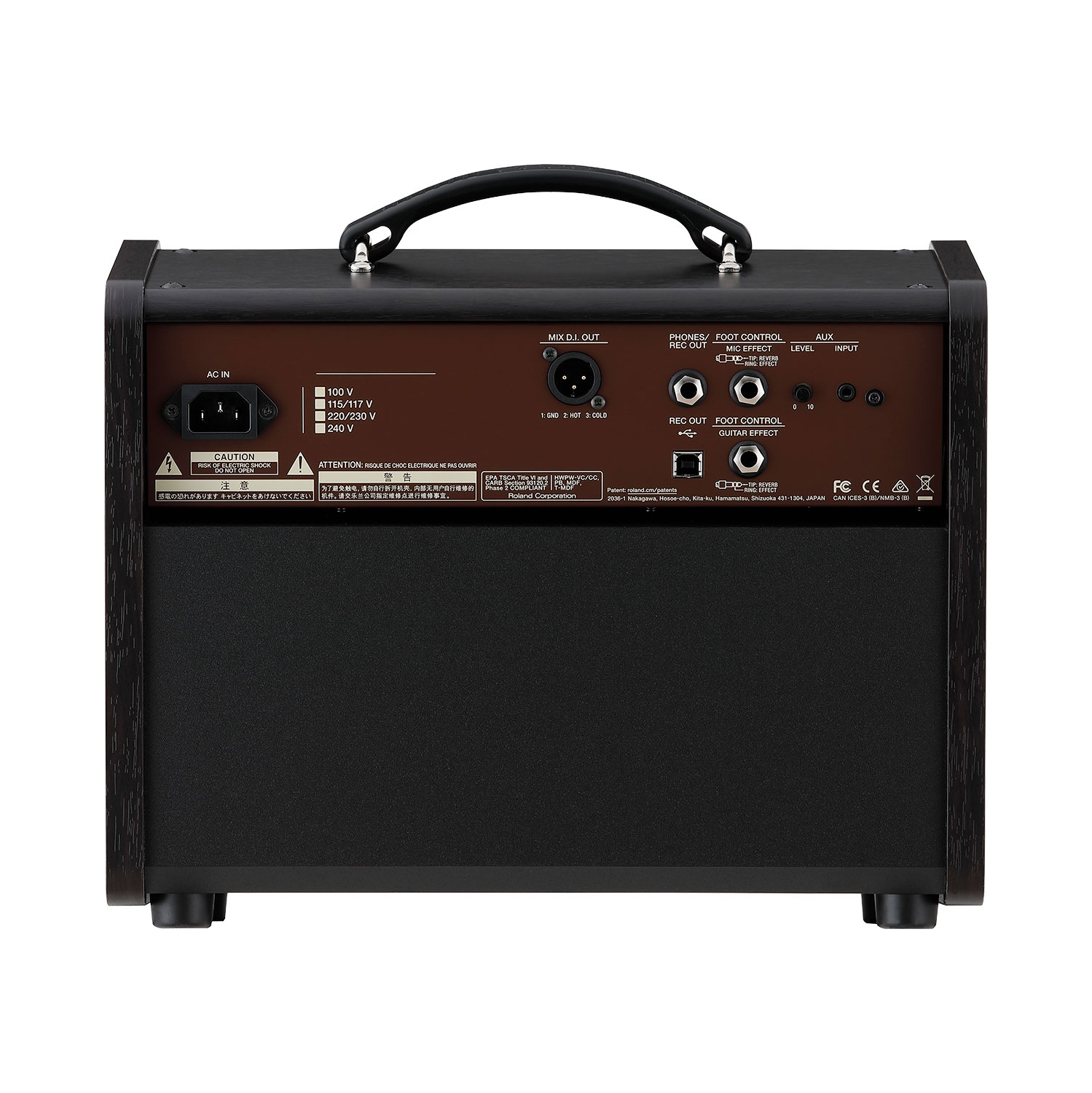 BOSS Acoustic Singer Live LT Guitar Amp