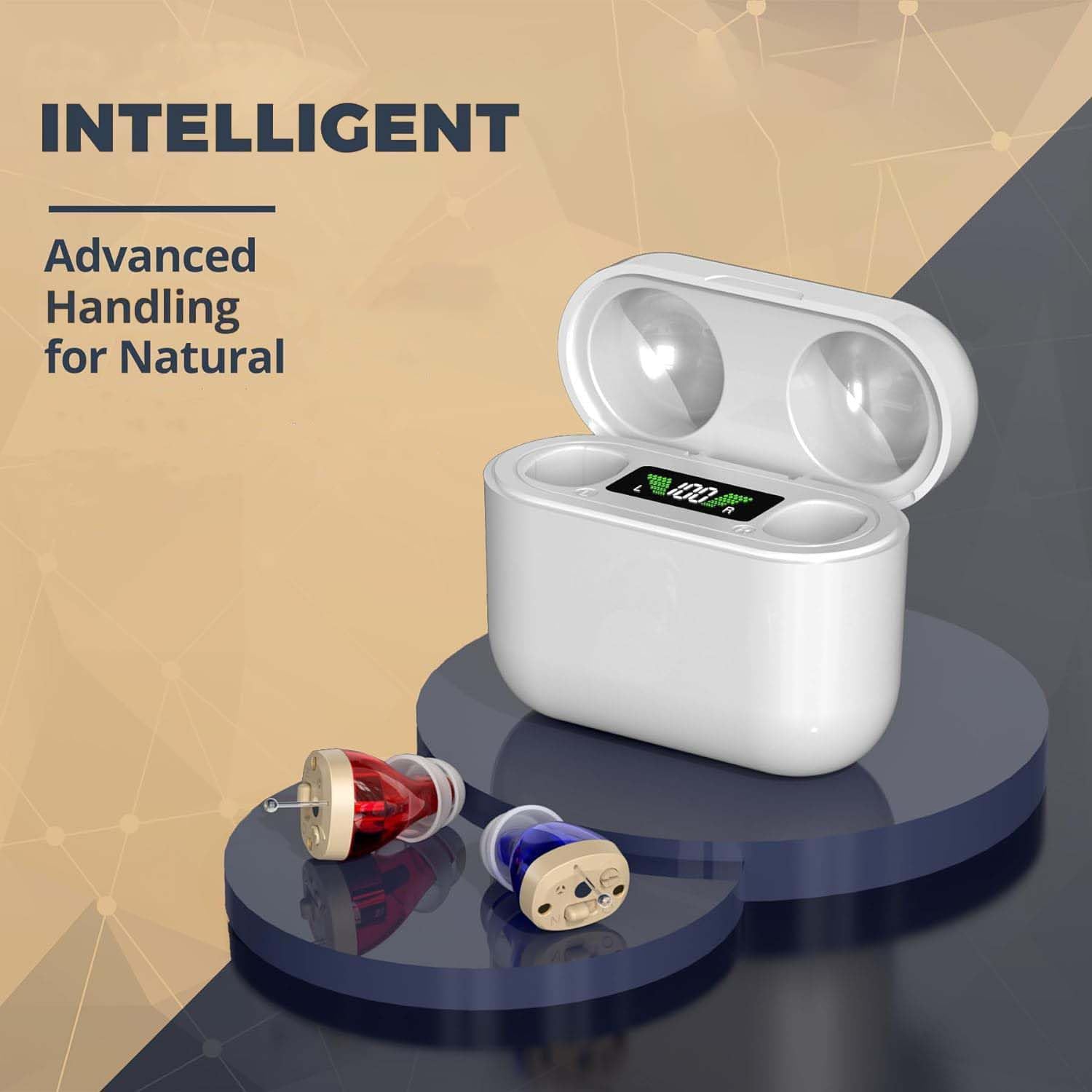 Amplificateurs auditifs intra-auriculaires rechargeables pour aînés - paire CIC numérique, qualité sonore améliorée, réduction du bruit et affichage