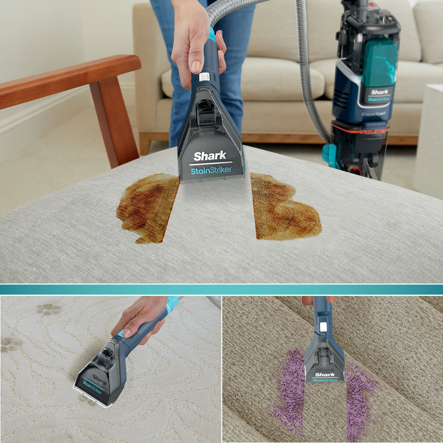 Aspirateur vertical pour tapis CarpetXpert EX200C de Shark - Bleu marine