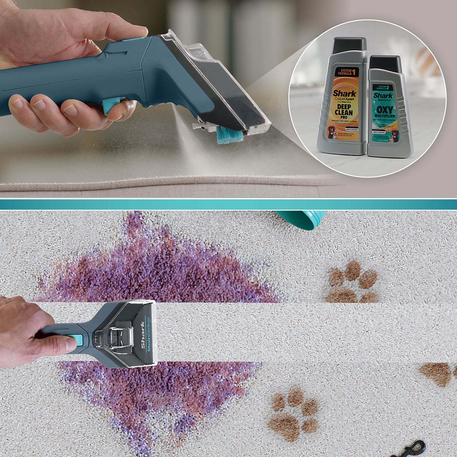 Aspirateur vertical pour tapis CarpetXpert EX200C de Shark - Bleu marine