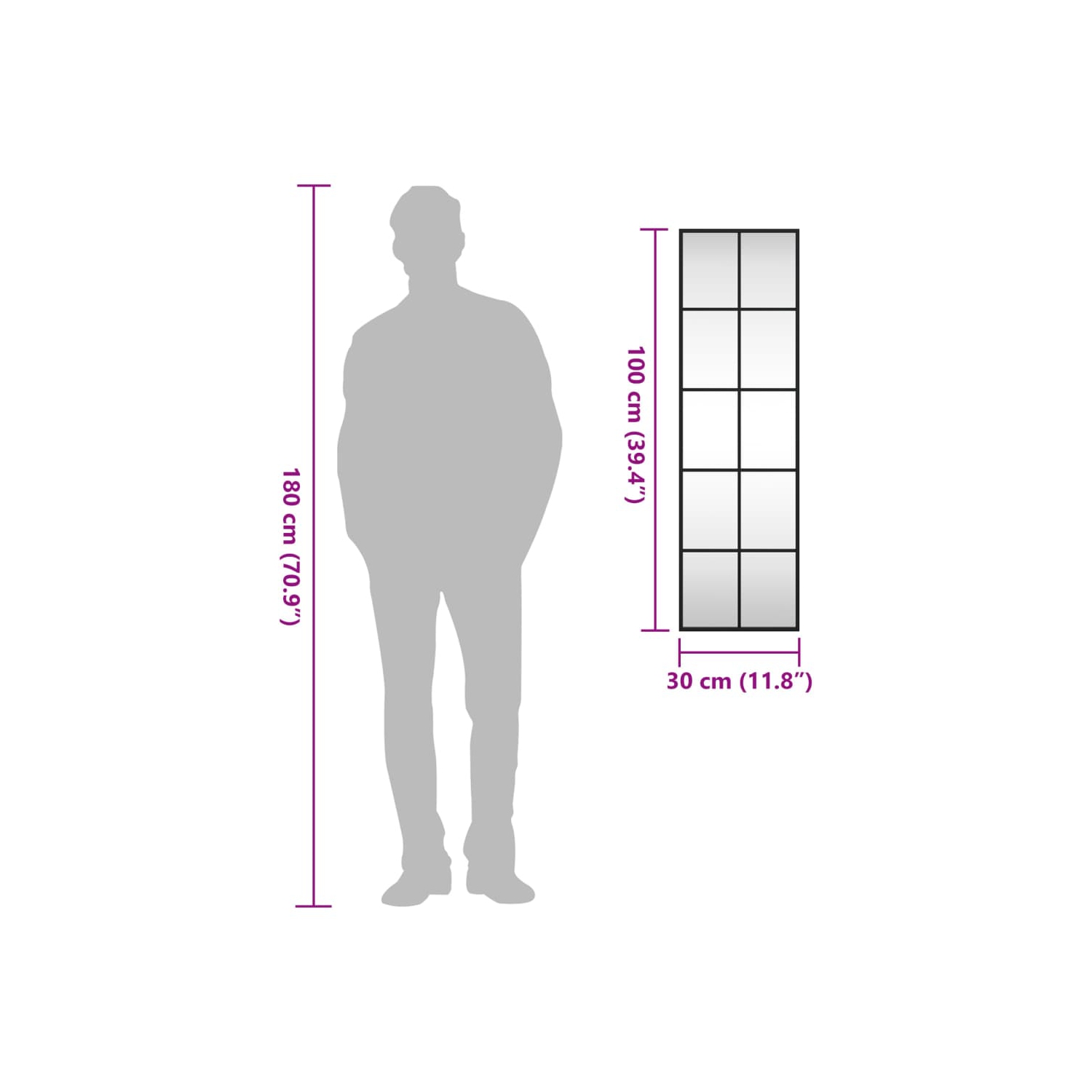 vidaXL Wall Mirror Black 30x100 cm Rectangle Iron