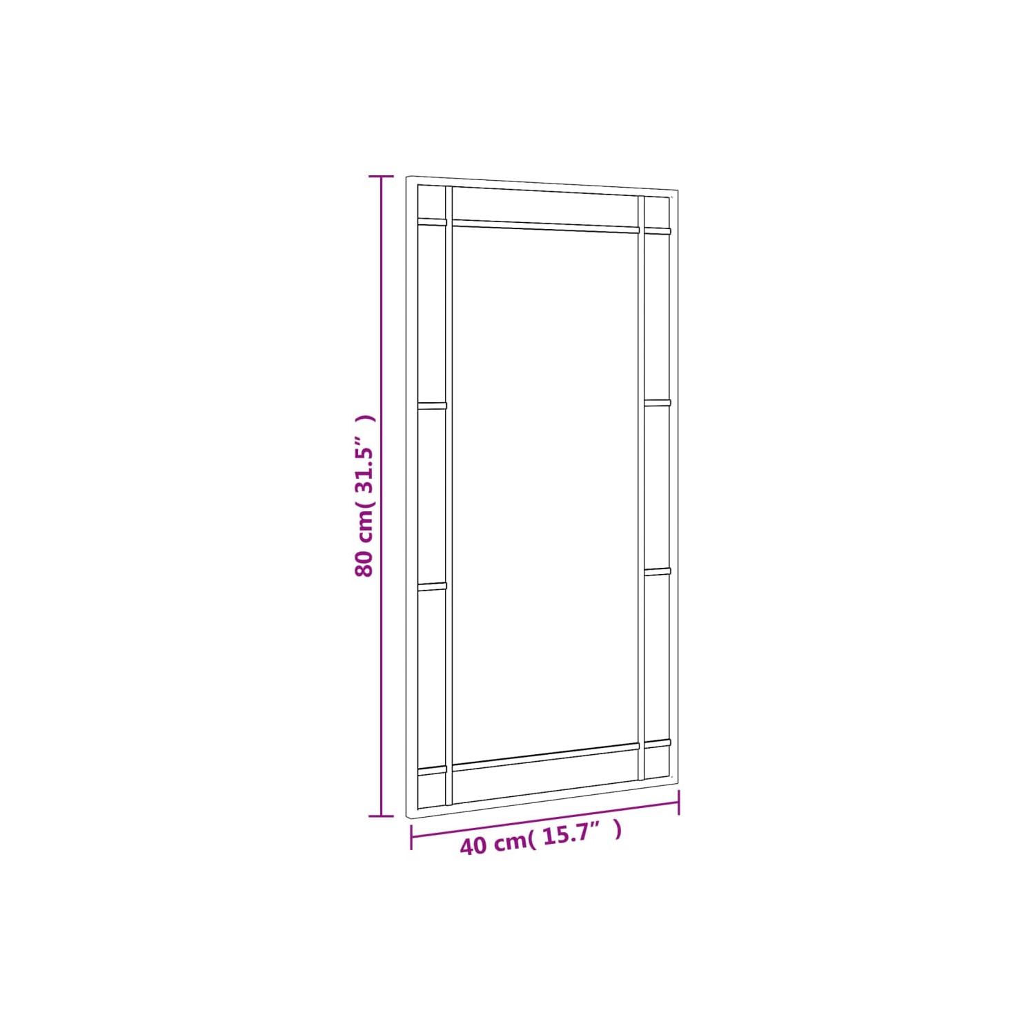 vidaXL Wall Mirror Black 40x80 cm Rectangle Iron