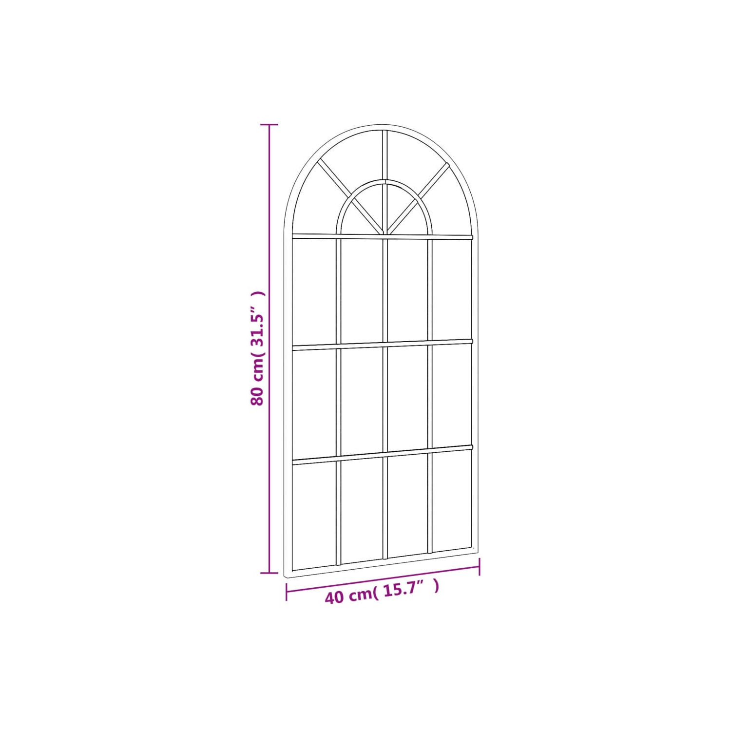 vidaXL Wall Mirror Black 40x80 cm Arch Iron