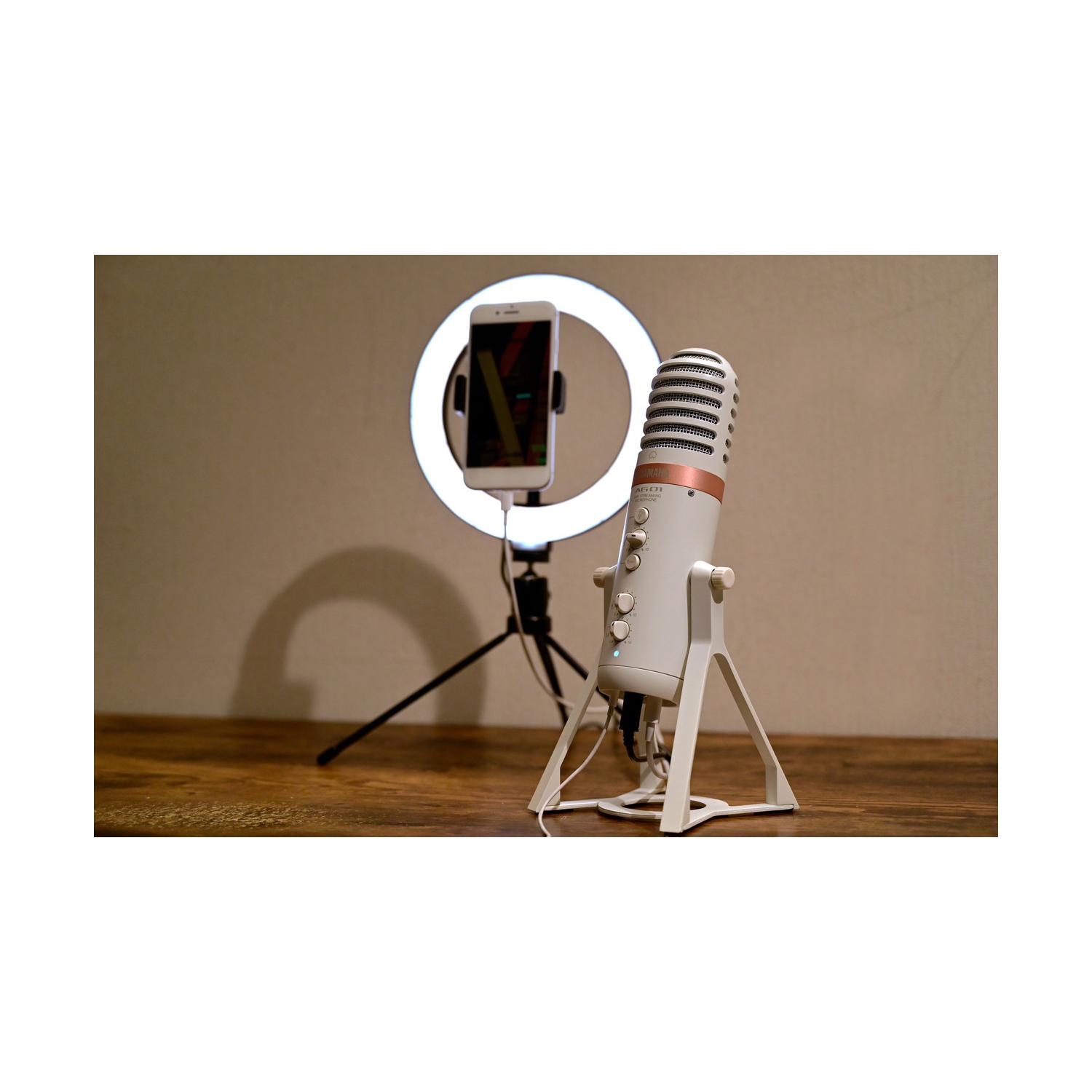 Microphone USB AG01 de Yamaha - Noir