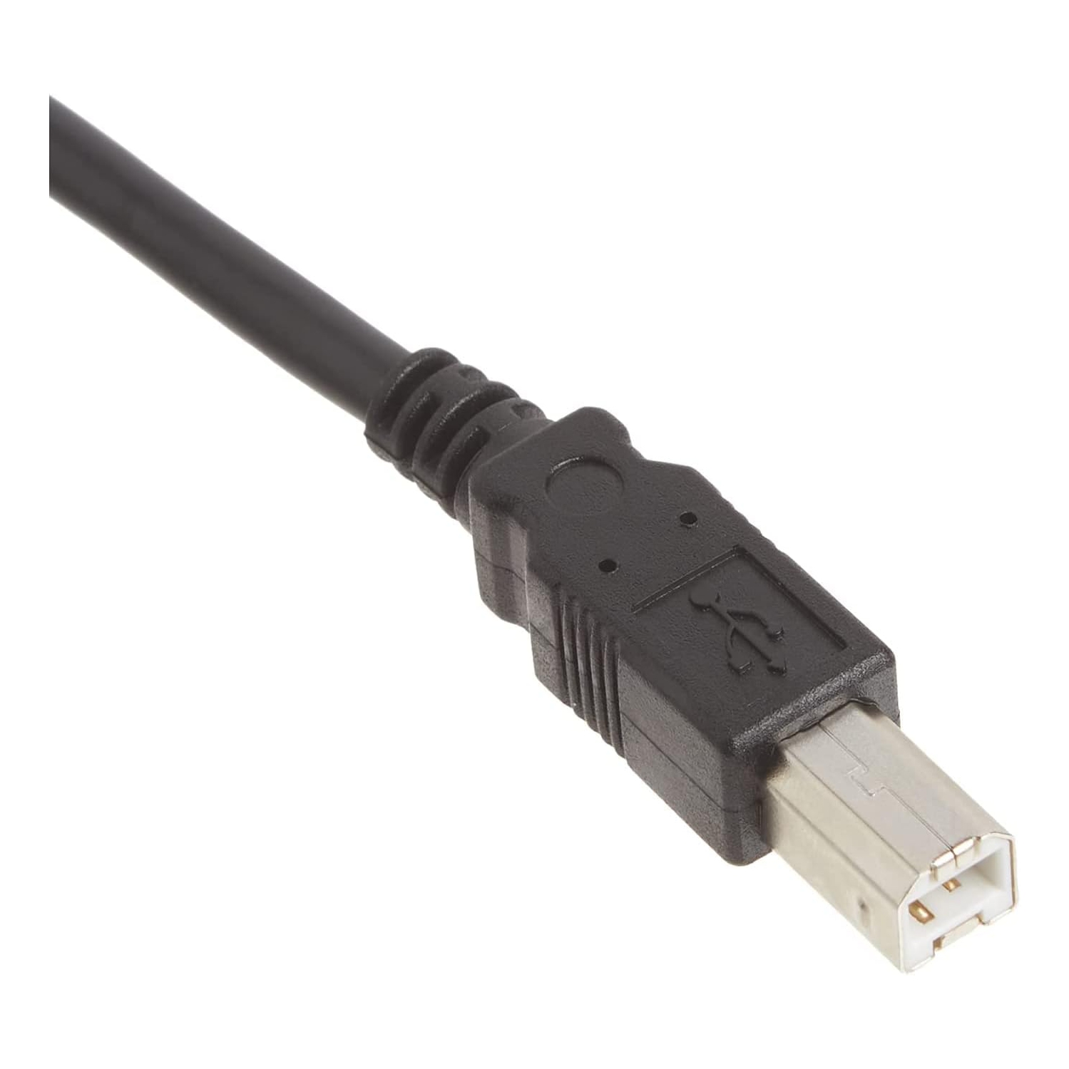 C&E CNE02608 USB 2.0 6-Feet Printer Cable Cord A-B for Canon Pixma