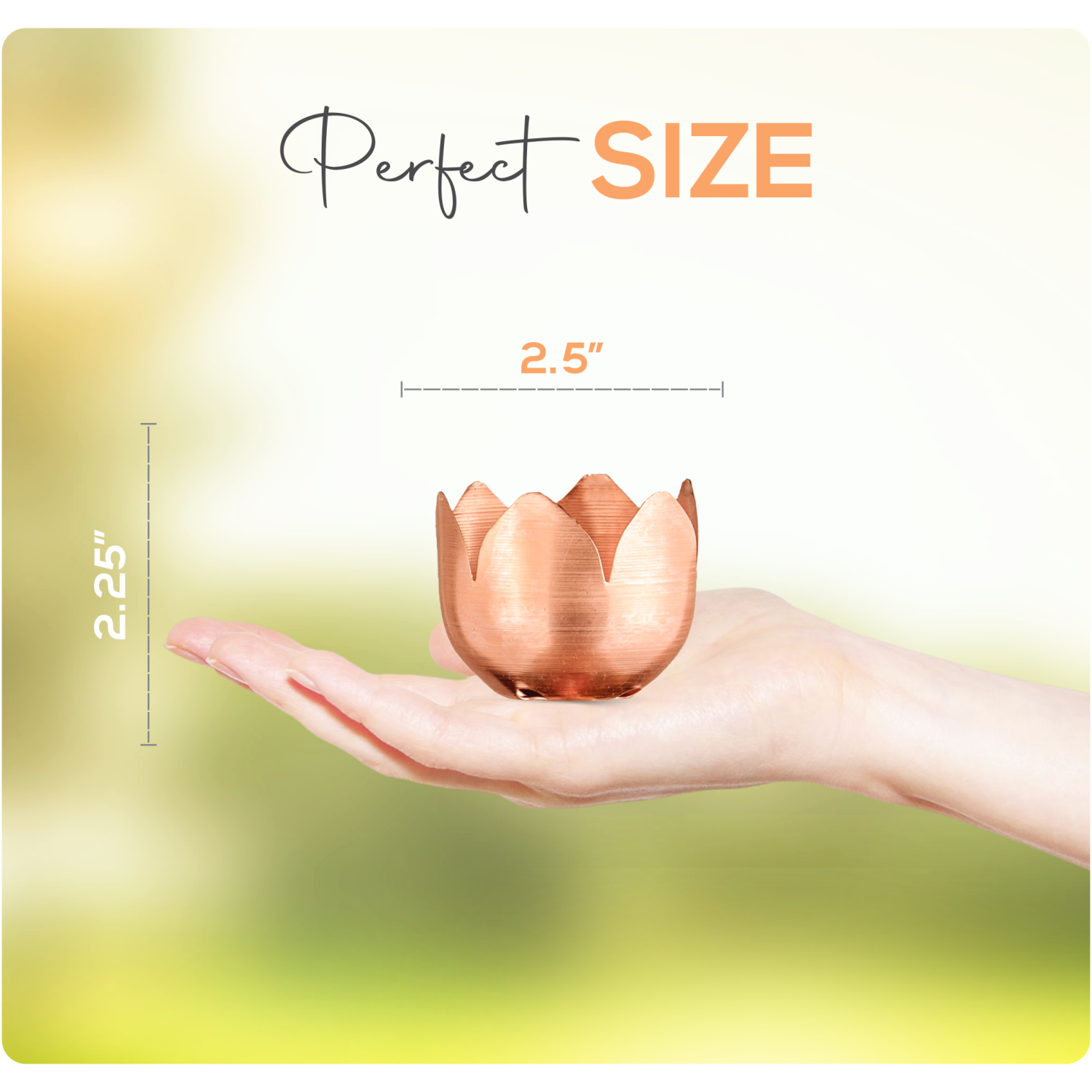 Marrgon Copper Rain Chain - Tulip Style Cups for Gutter Downspout Replacement