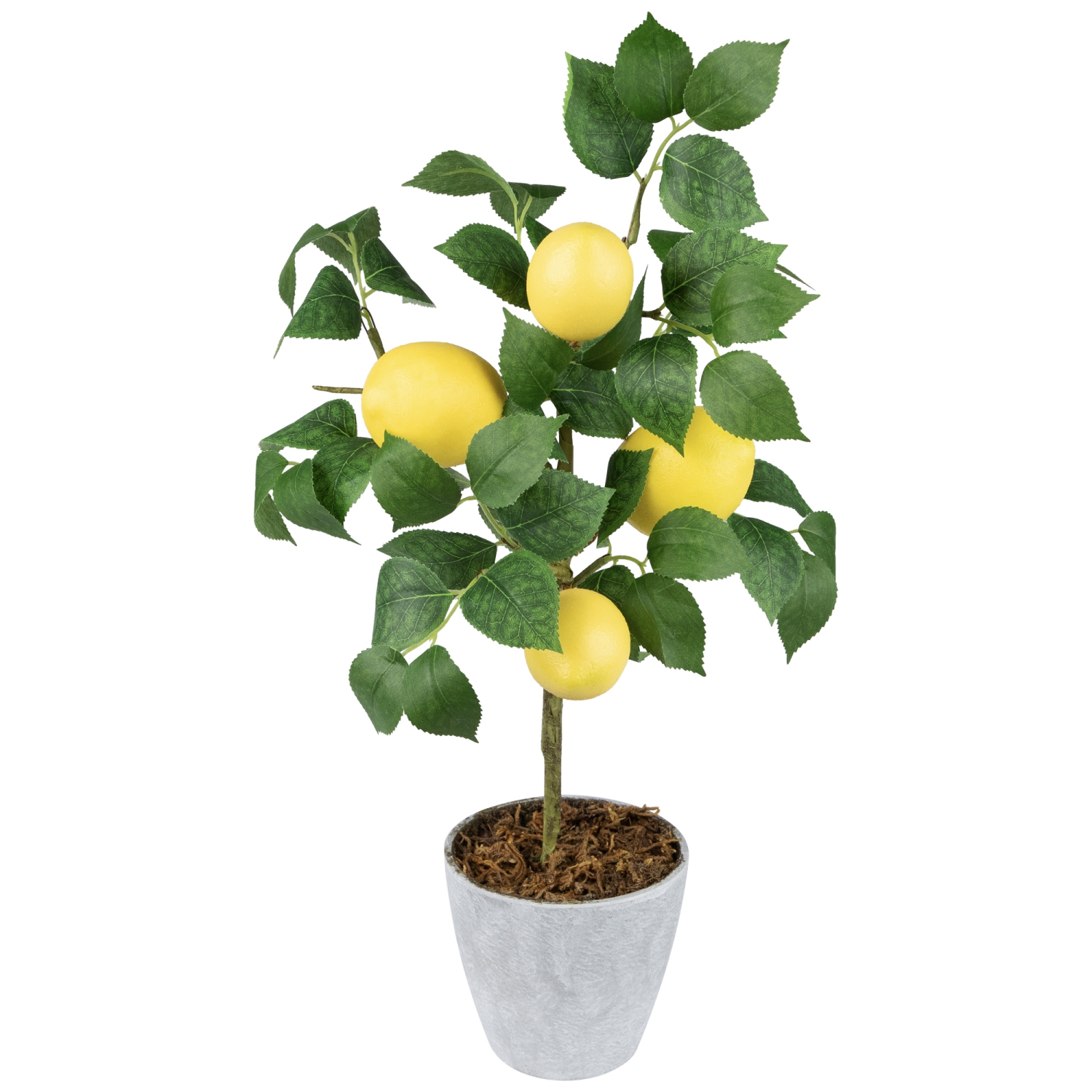 Artificial Potted Mini Lemon Tabletop Tree - 20"