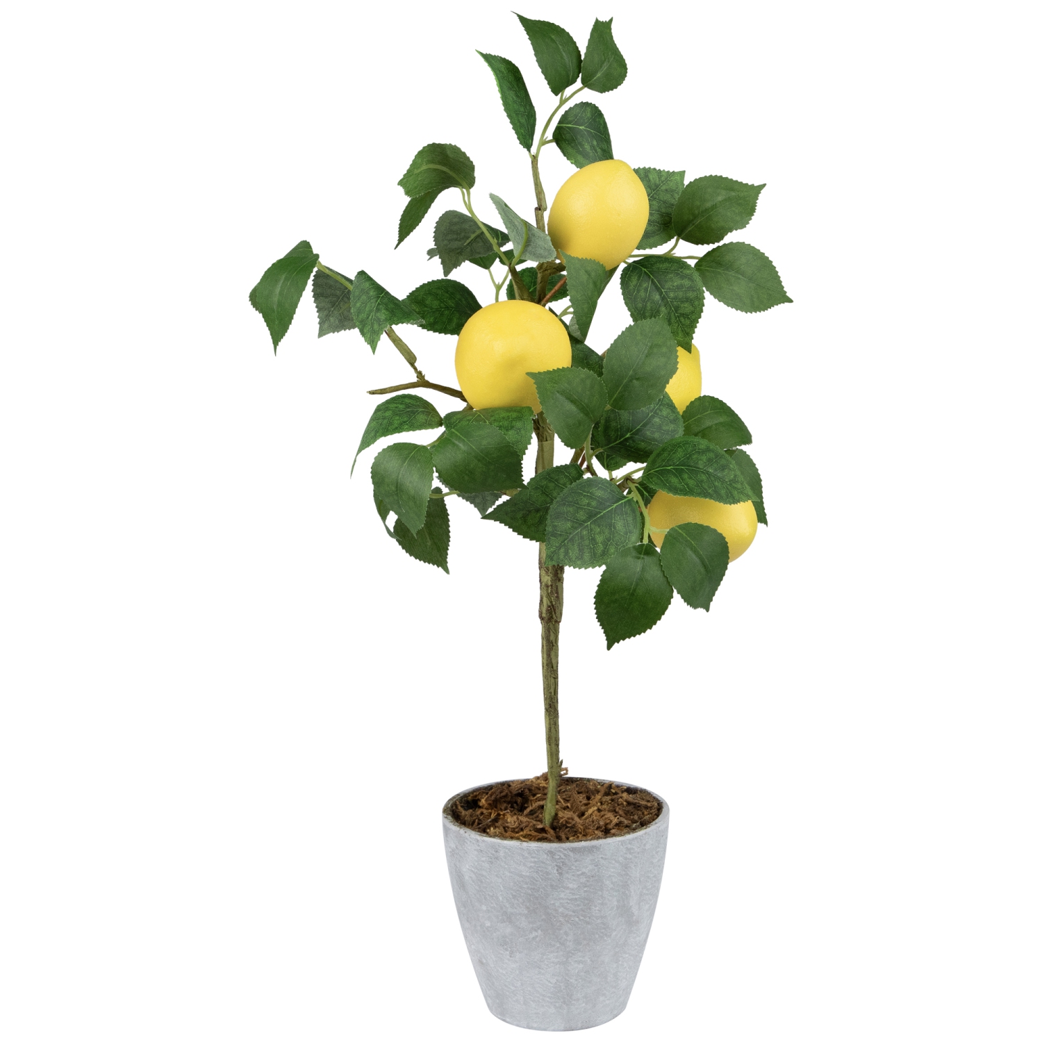 Artificial Potted Mini Lemon Tabletop Tree - 20"