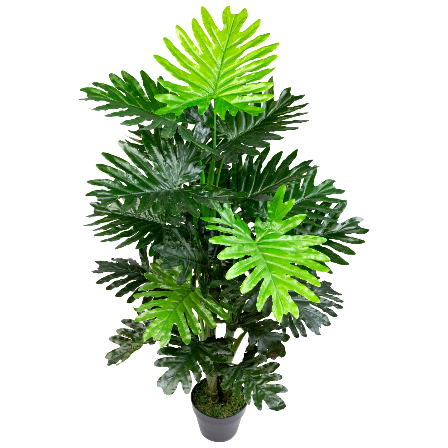 Potted Philodendron Selloum Artificial Plant - 47"