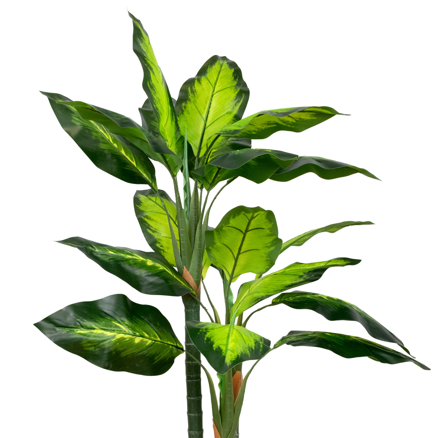 Wide Leaf Artificial Dieffenbachia Potted Plant - 51"