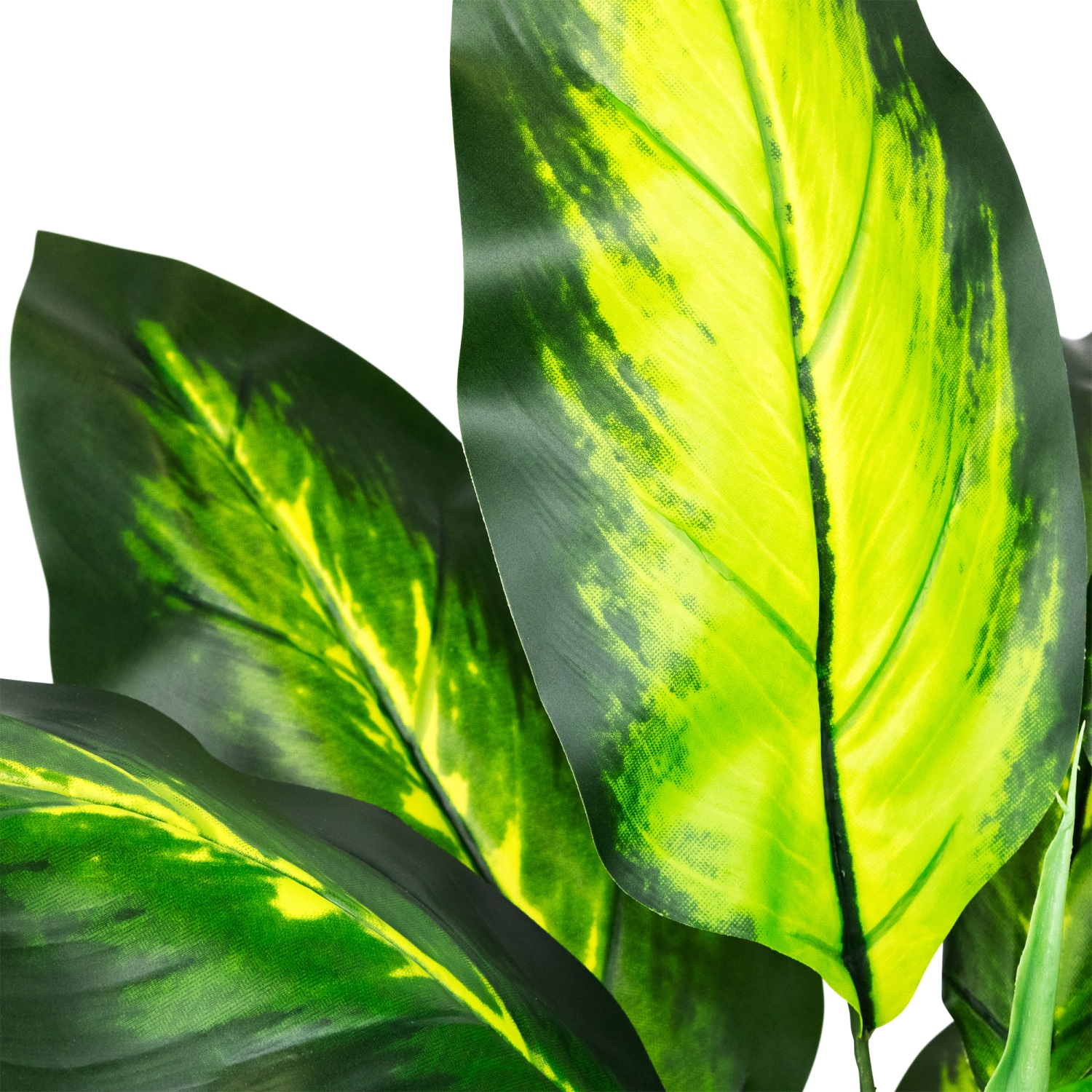 Wide Leaf Artificial Dieffenbachia Potted Plant - 51"